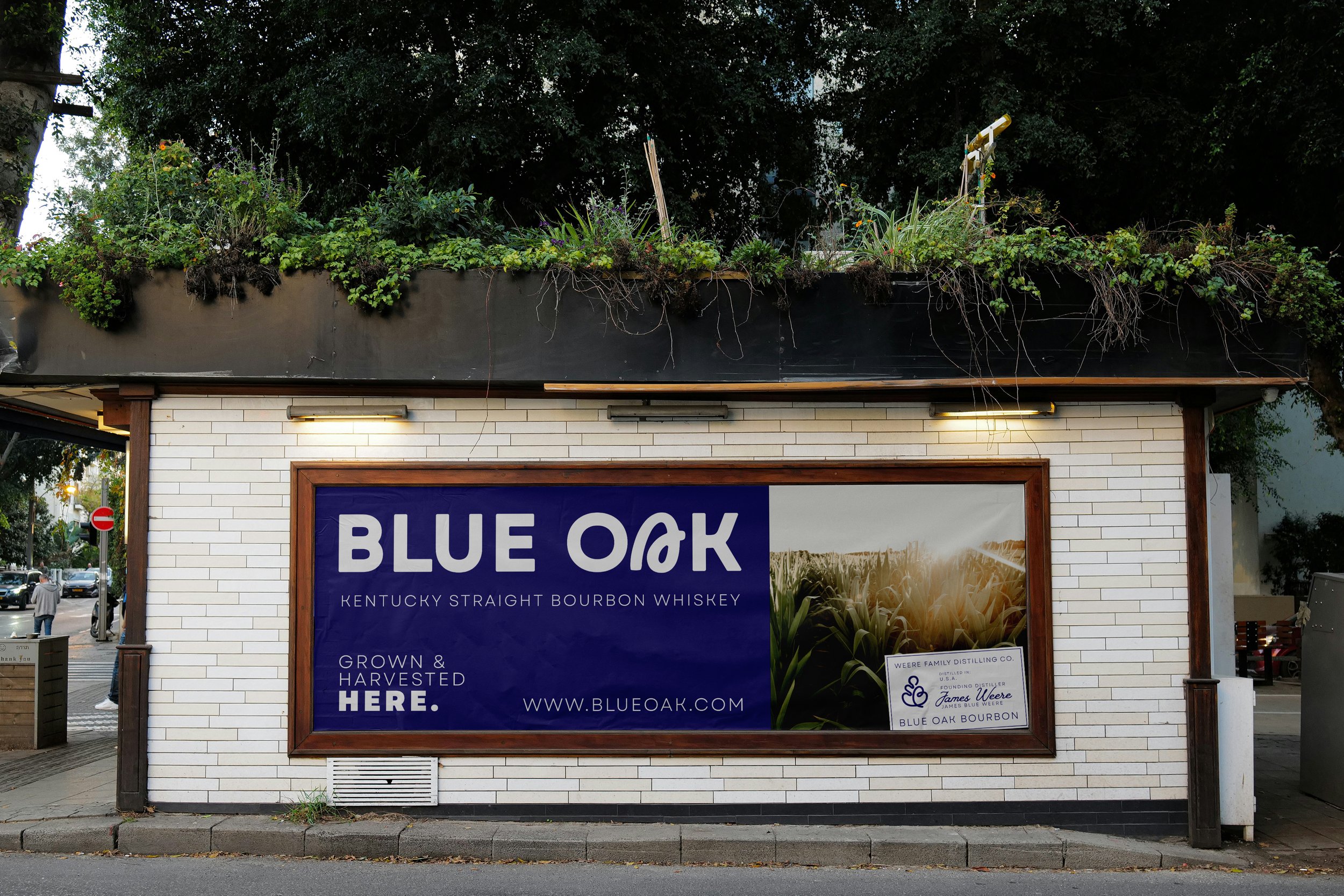 BLUE_OAK_BILLBOARD.jpg