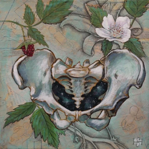 Herbal Immersion for Midwives 10/25 9am-1pm in Holly Springs, NC
