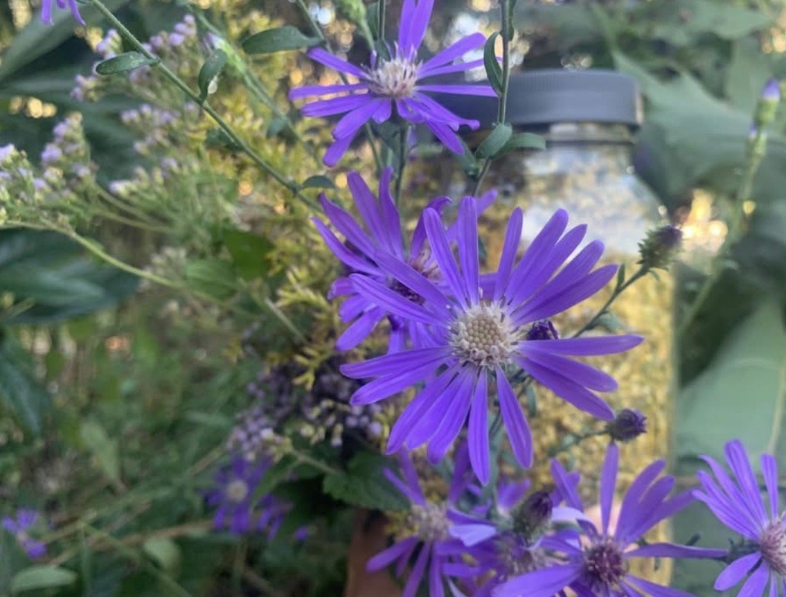 Blue Oak Horticulture - Propagating Plants and Community 