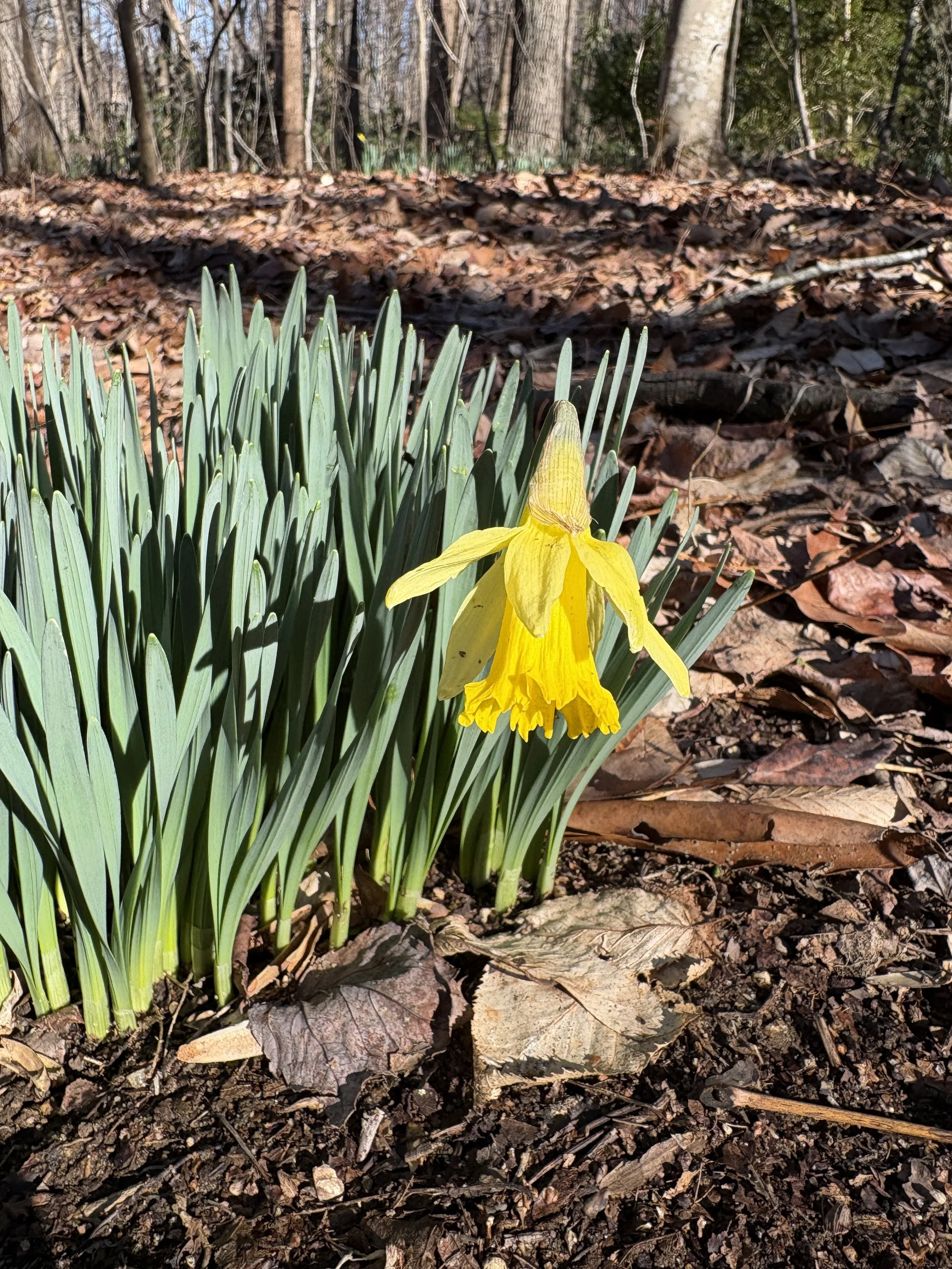Why Hold Off On Garden Clean-Up?