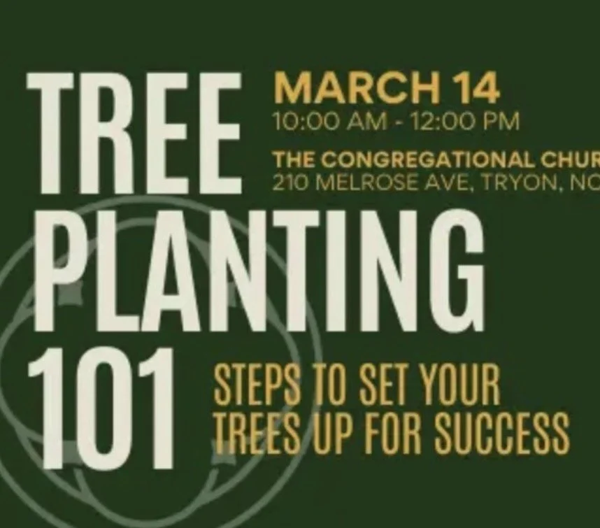 Tree Planting 101