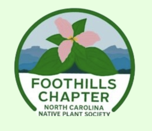 North Carolina Native Plant Society – New Foothills Chapter