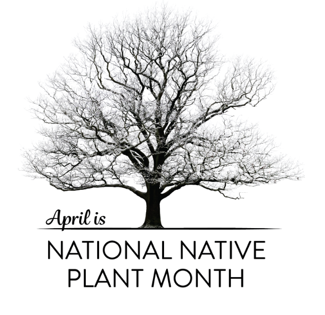 April is National Native Plant Month