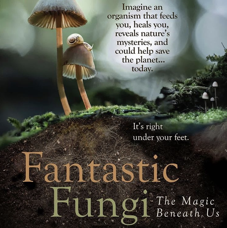 Free Movie Night - Fantastic Fungi!