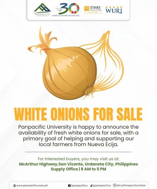 WHITE ONIONS FOR SALE