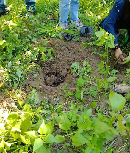 ALUMNI participating in PADYAK; TREE PLANTING activity as part of the ALUMNI HOMECOMING