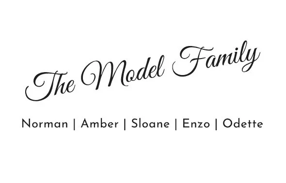 THE MODEL FAMILY