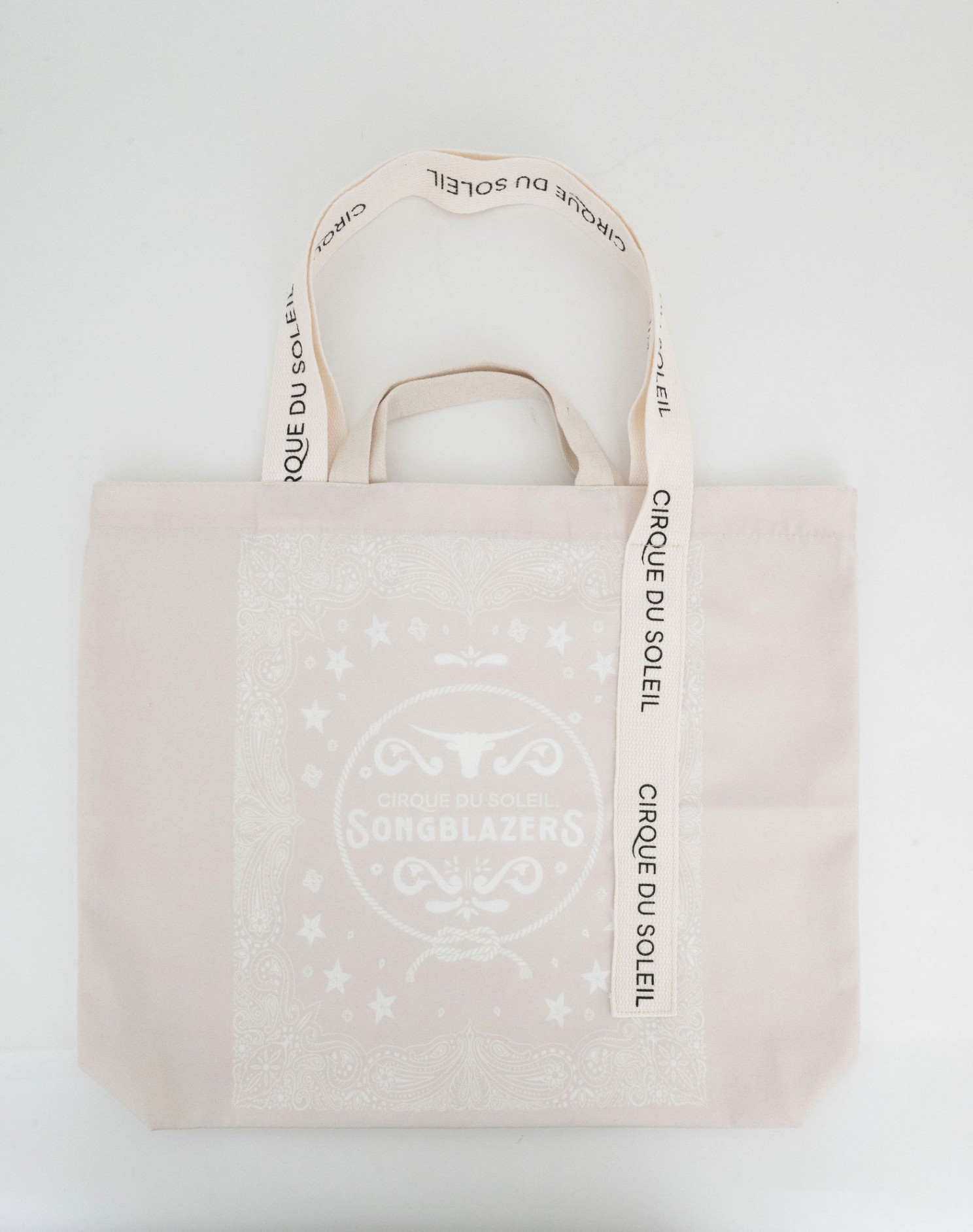 Screen Shot 2025-04-01 at 11.03.25 PM.png