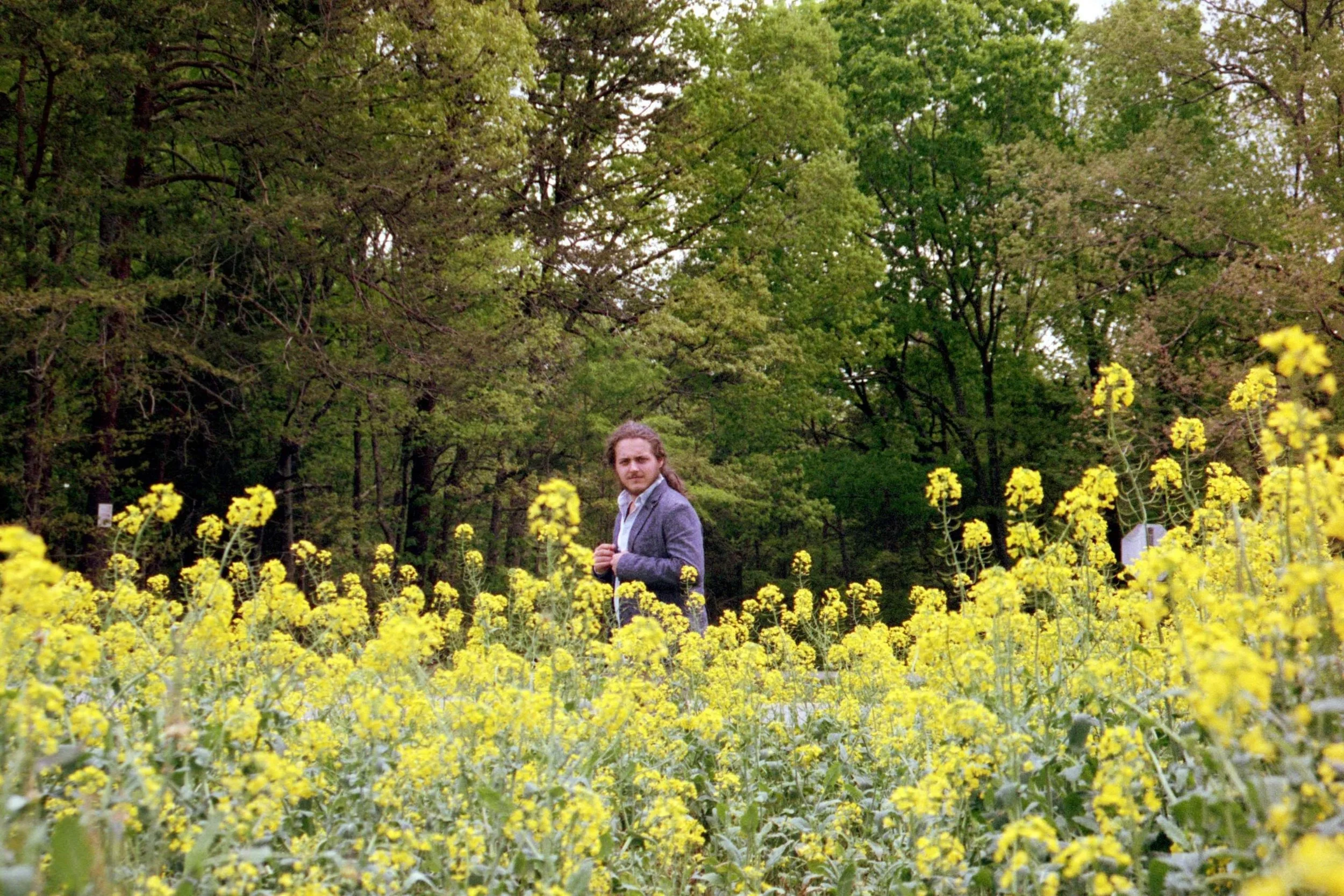Canola (Bushy Fork, NC | 2019)