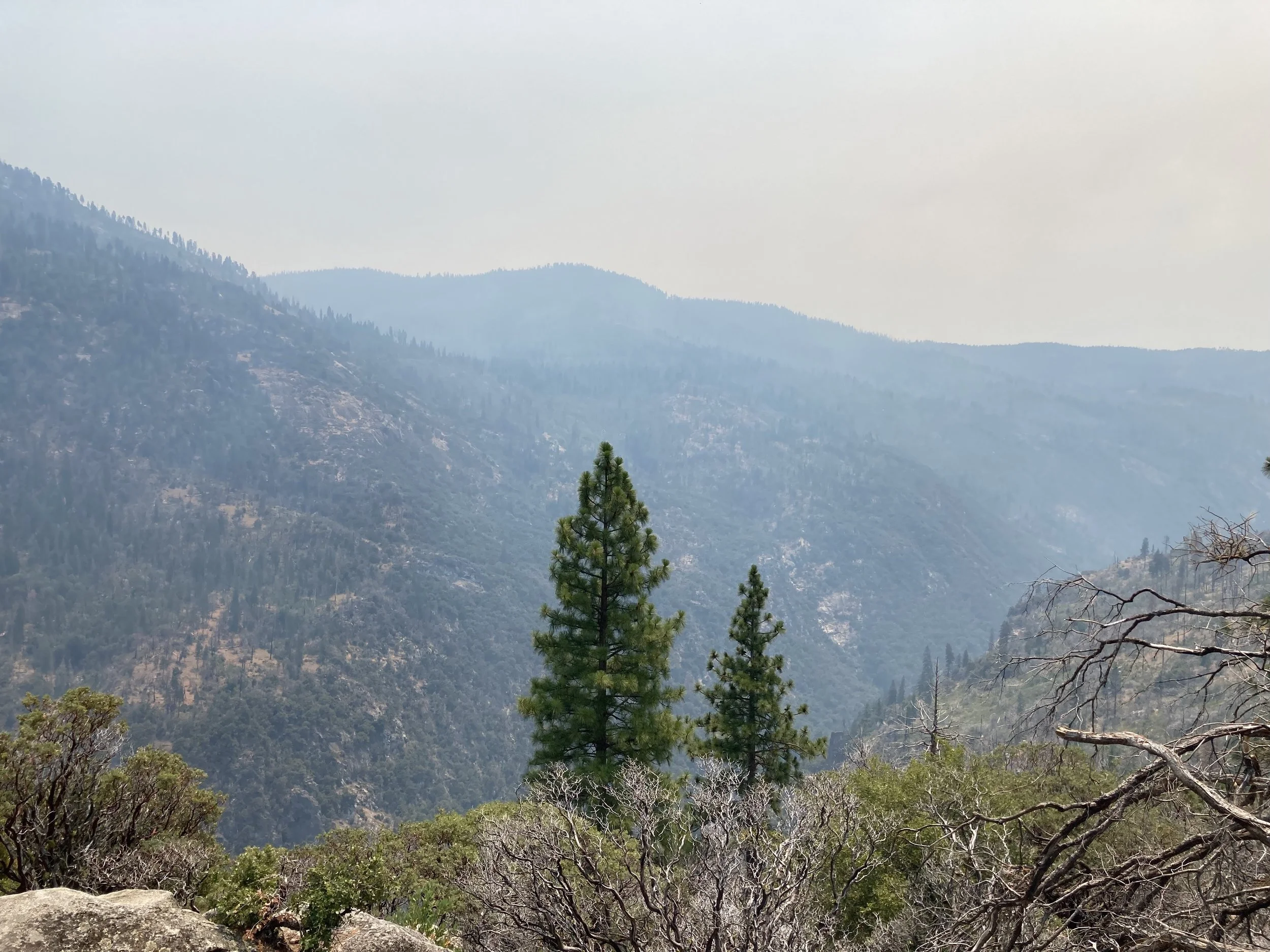 No Smoking (Yosemite, CA | 2022)