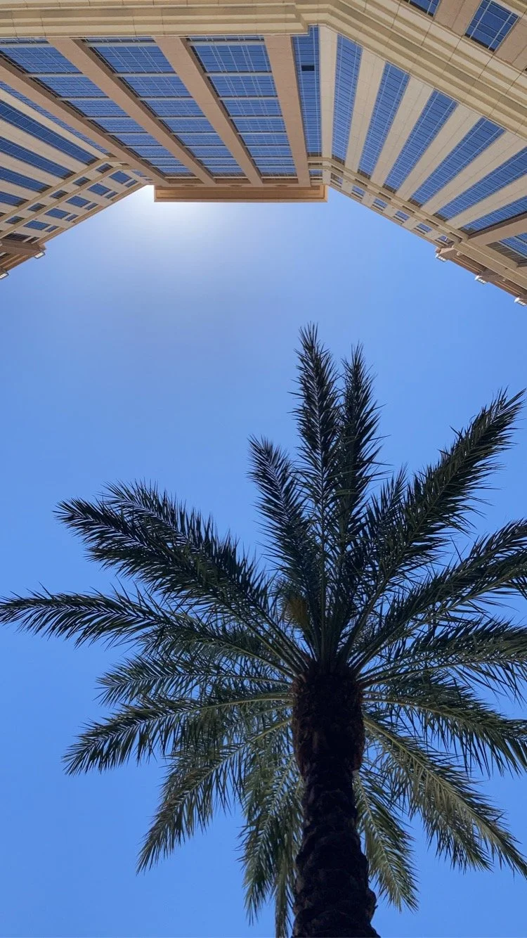 Shade (Las Vegas, NV | 2021)