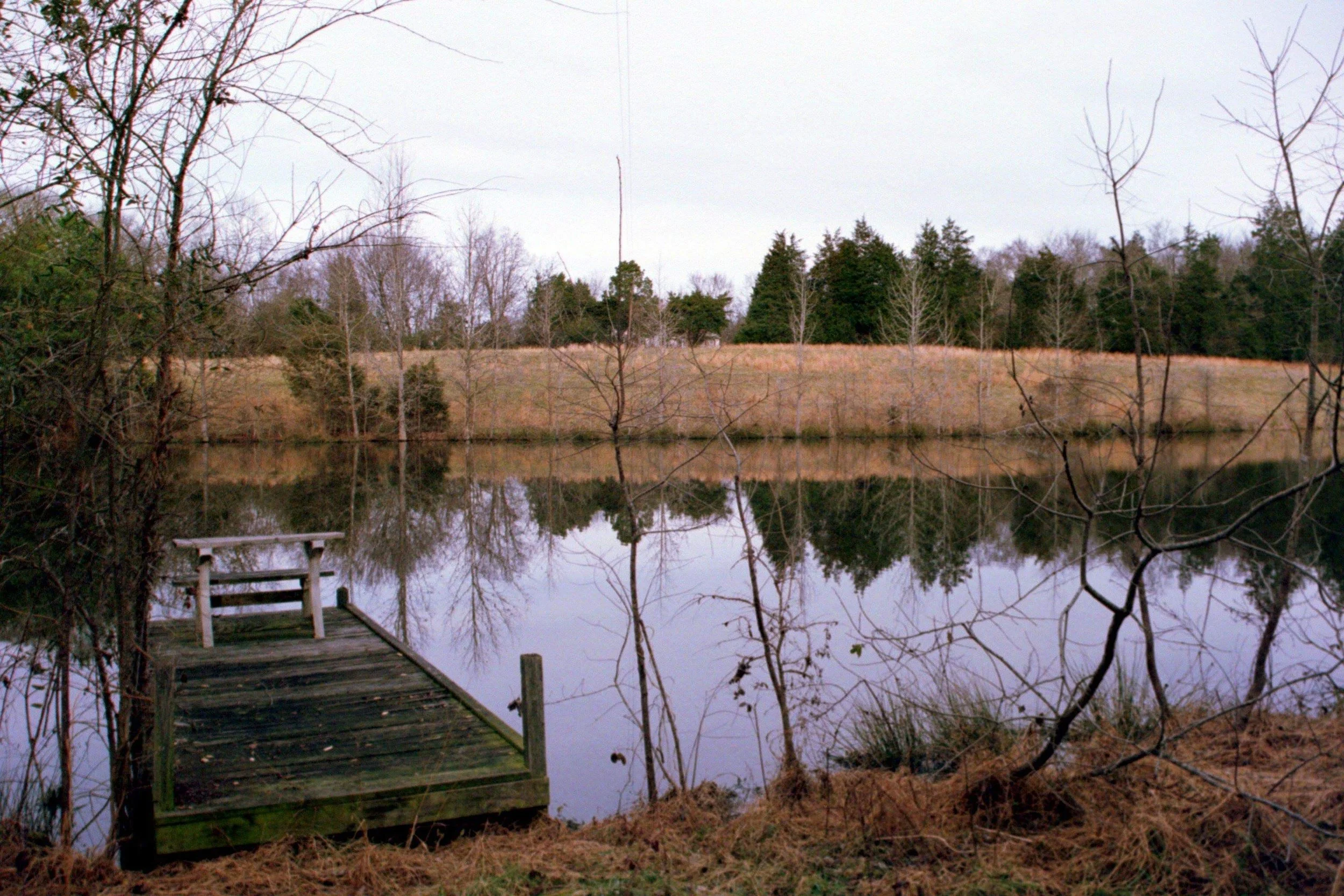 Bushy Fork Pond (Bushy Fork, NC | 2018)