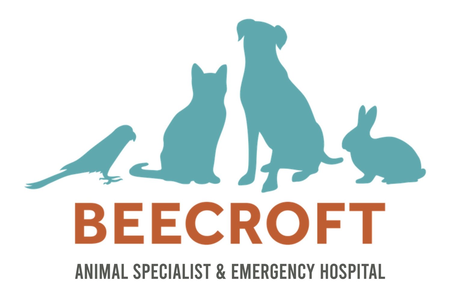Beecroft Animal Specialist And Emergency Hospital