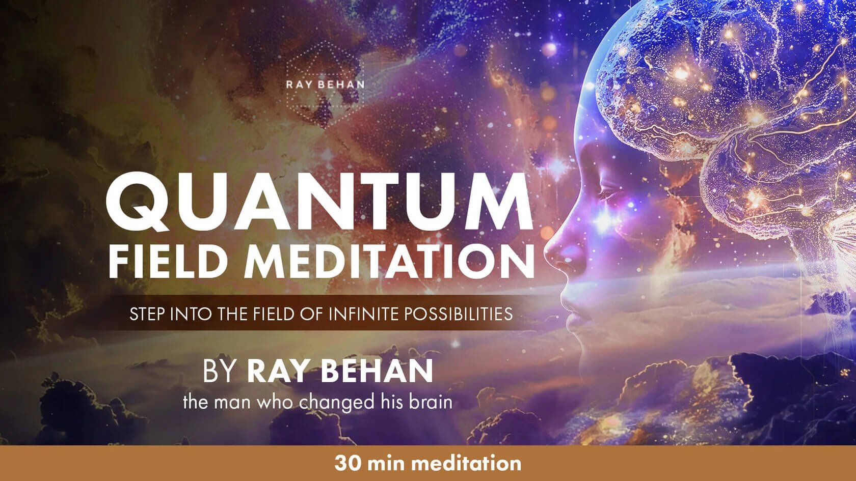 The Quantum Field Meditation