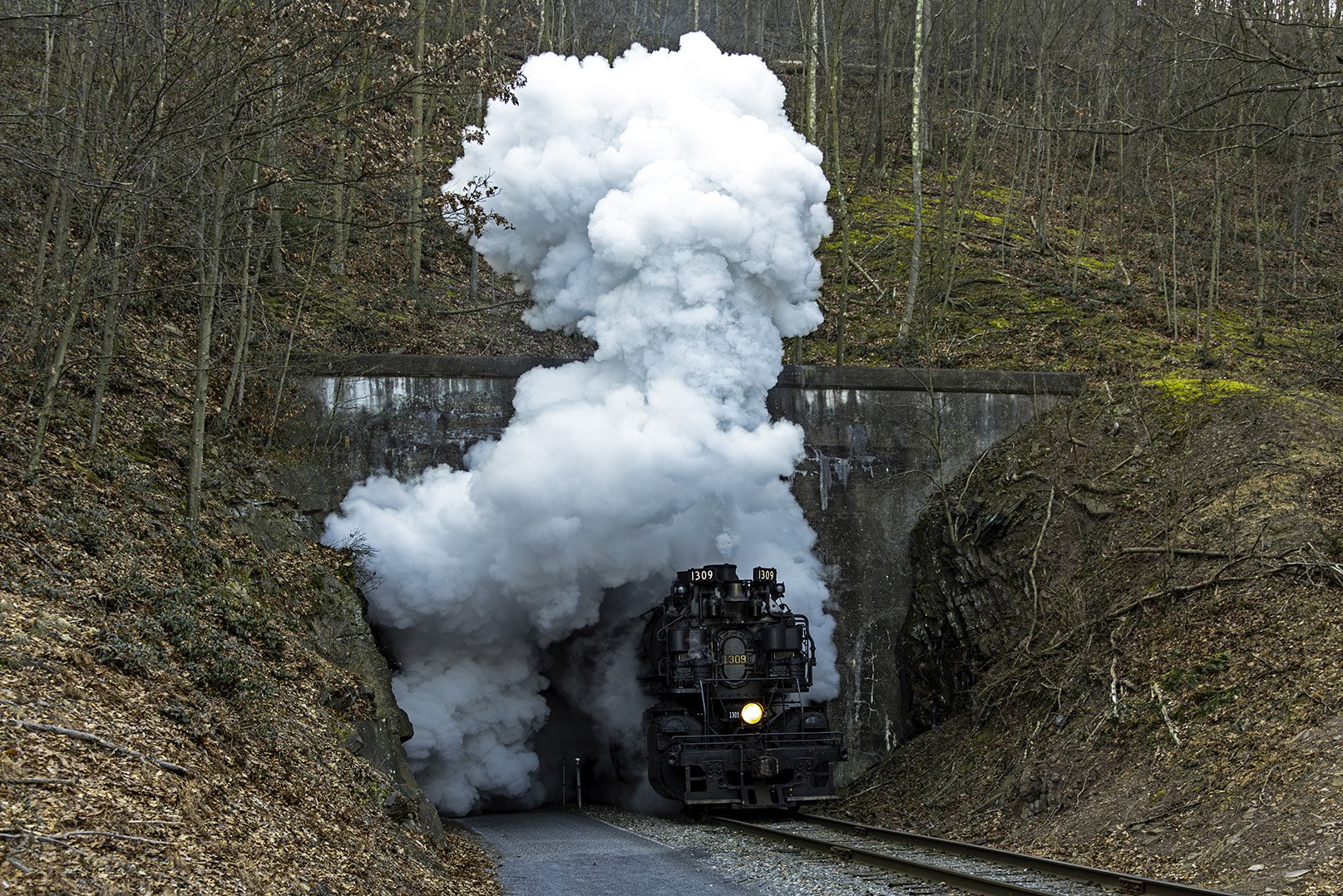 appalachian rail excursions