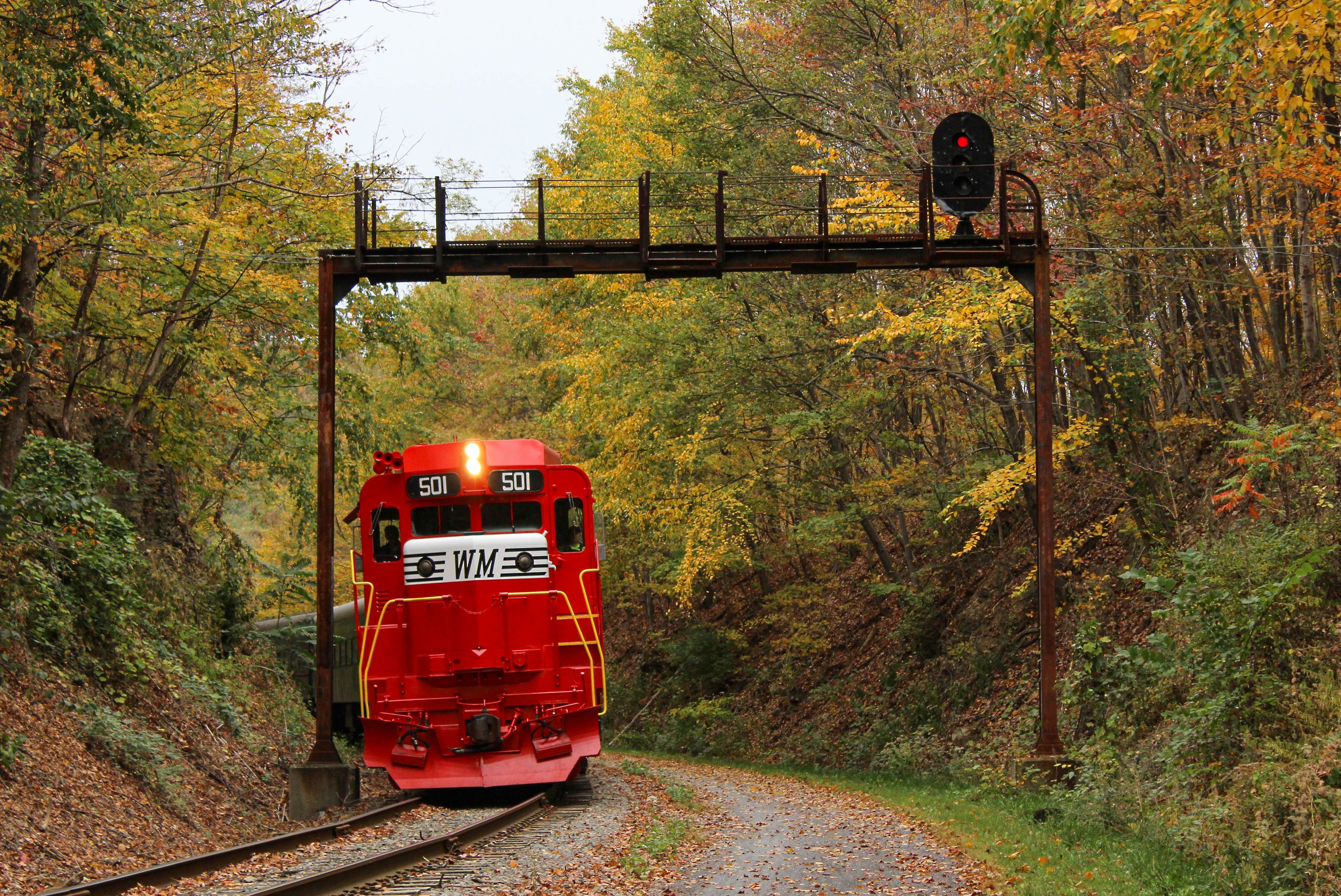 “Great Way To See The Fall Leaves!”