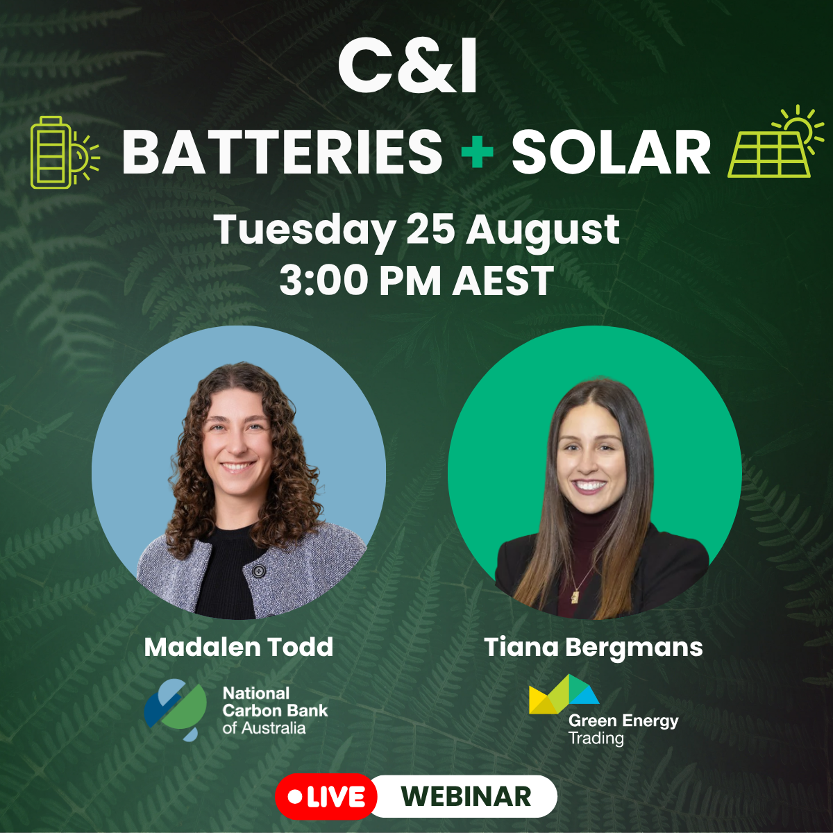 Join our C&amp;I Batteries + Solar Webinar