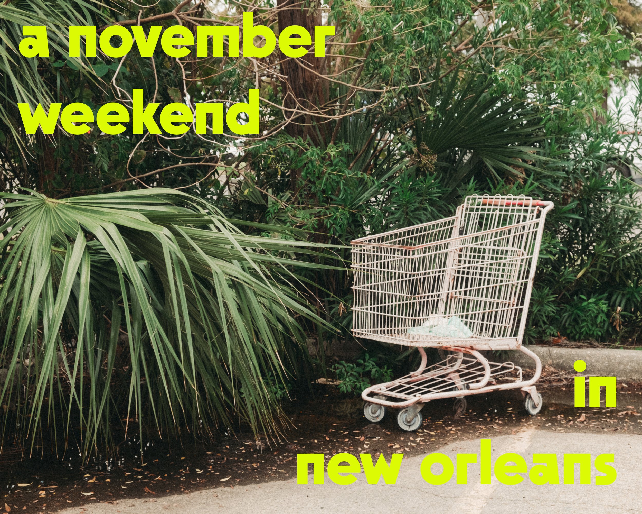 a november weekend in new orleans