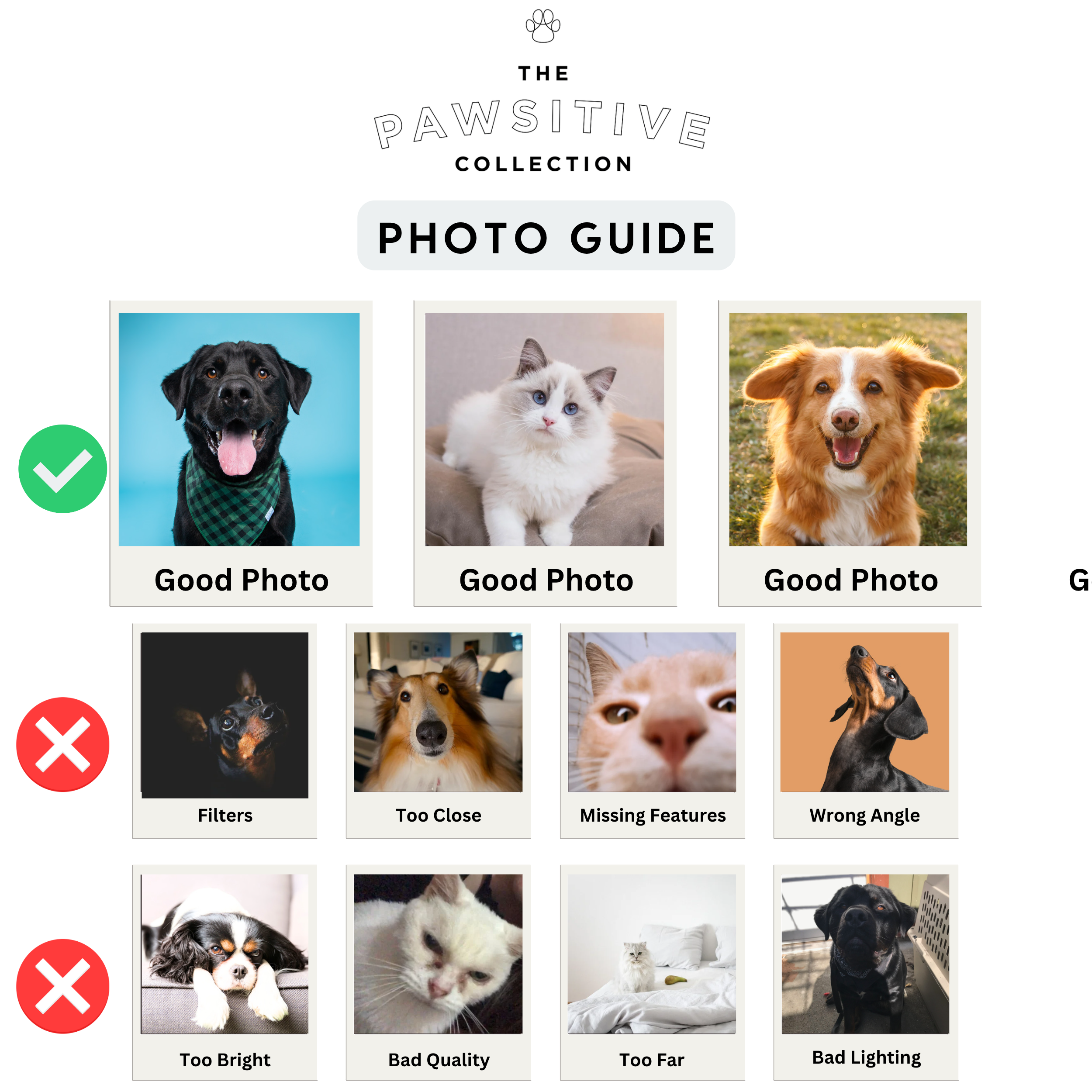 Photo Guide Reference.png
