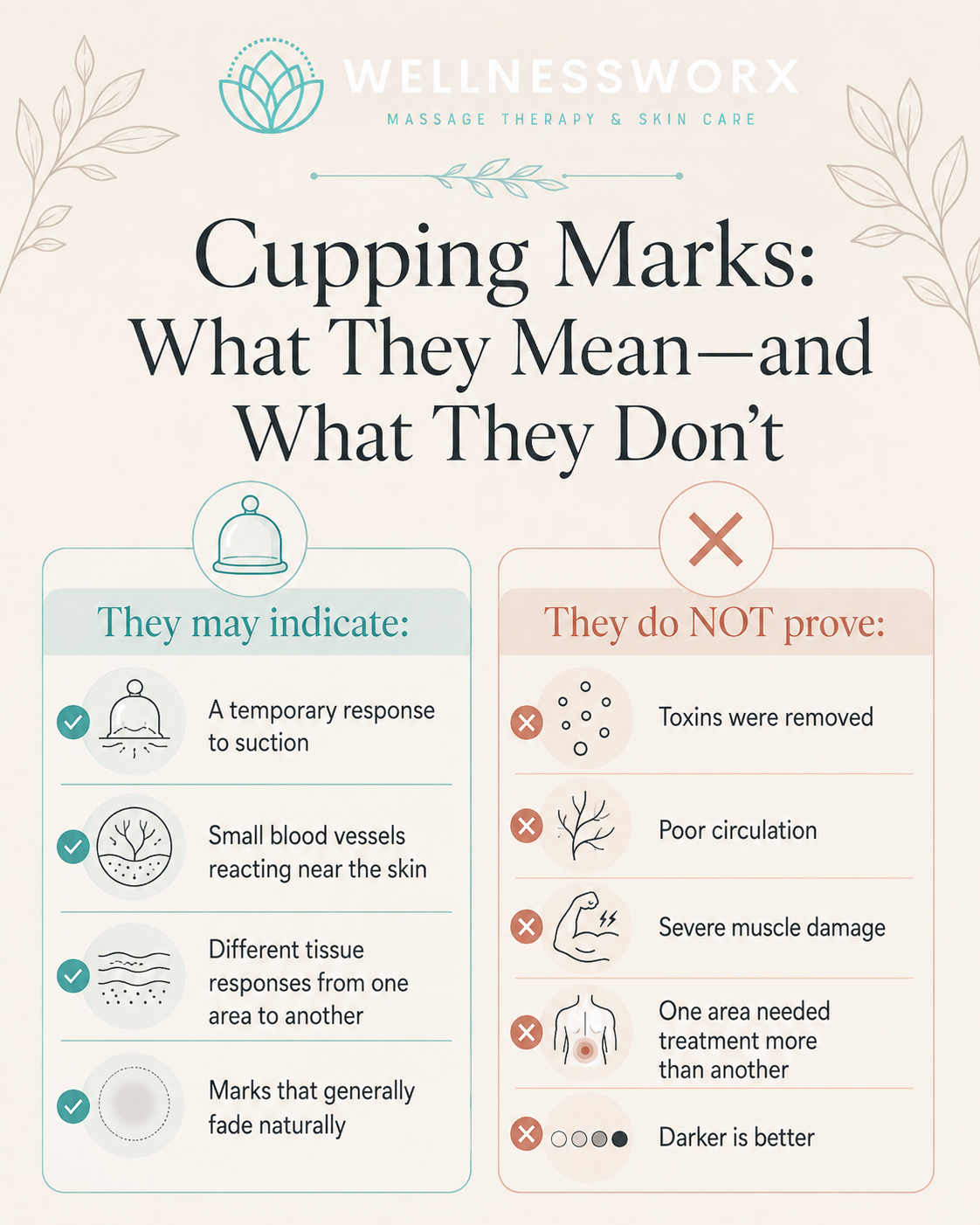 Infographic explaining what temporary cupping marks mean and common myths about darker cupping circles.