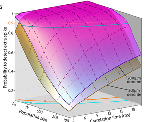 Figure 1G: modeled probability of detecting an extra spike across neuronal population size and correlation time, from Revah et al., PLOS Biology 2026.