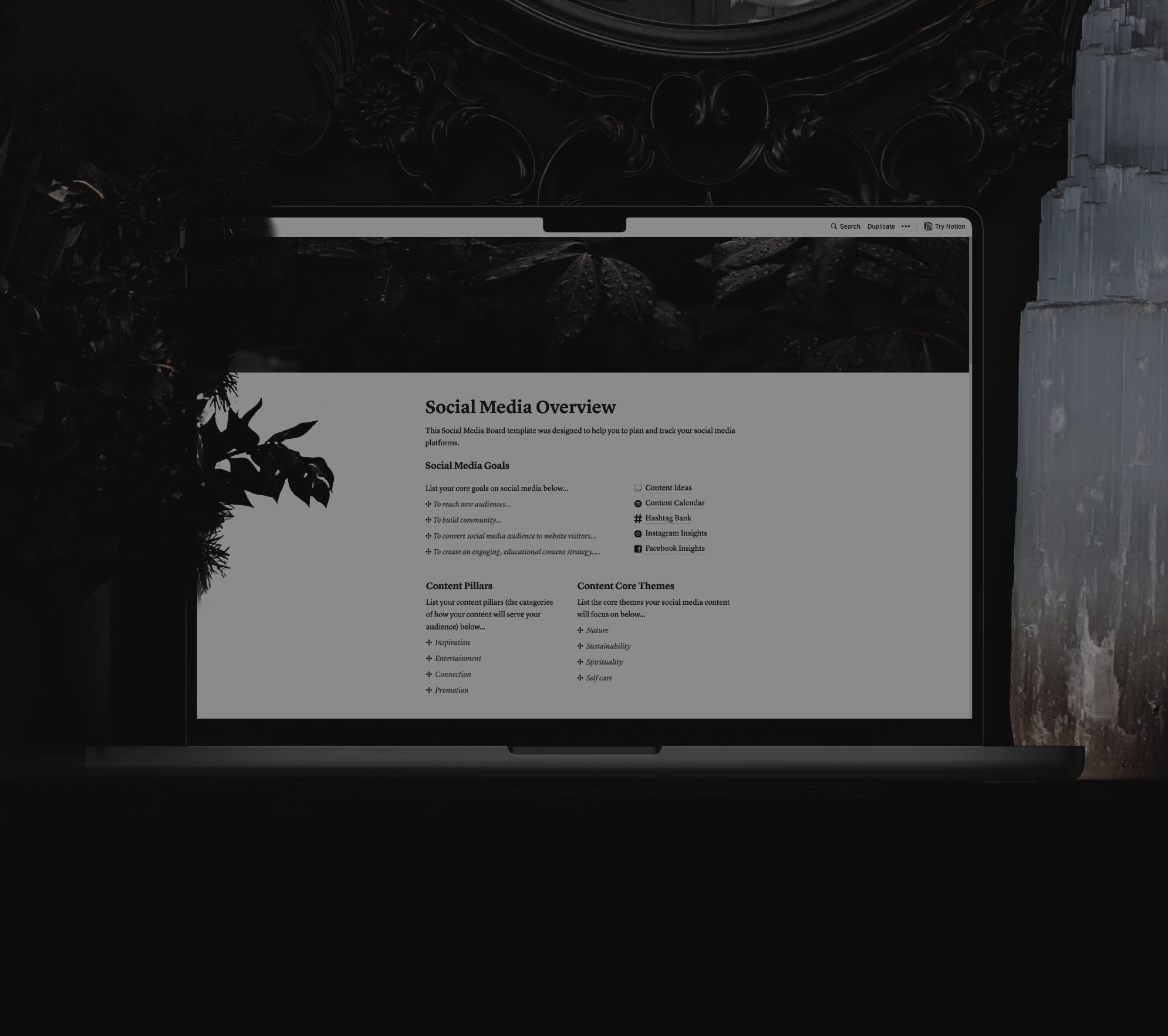 notion-template.jpg