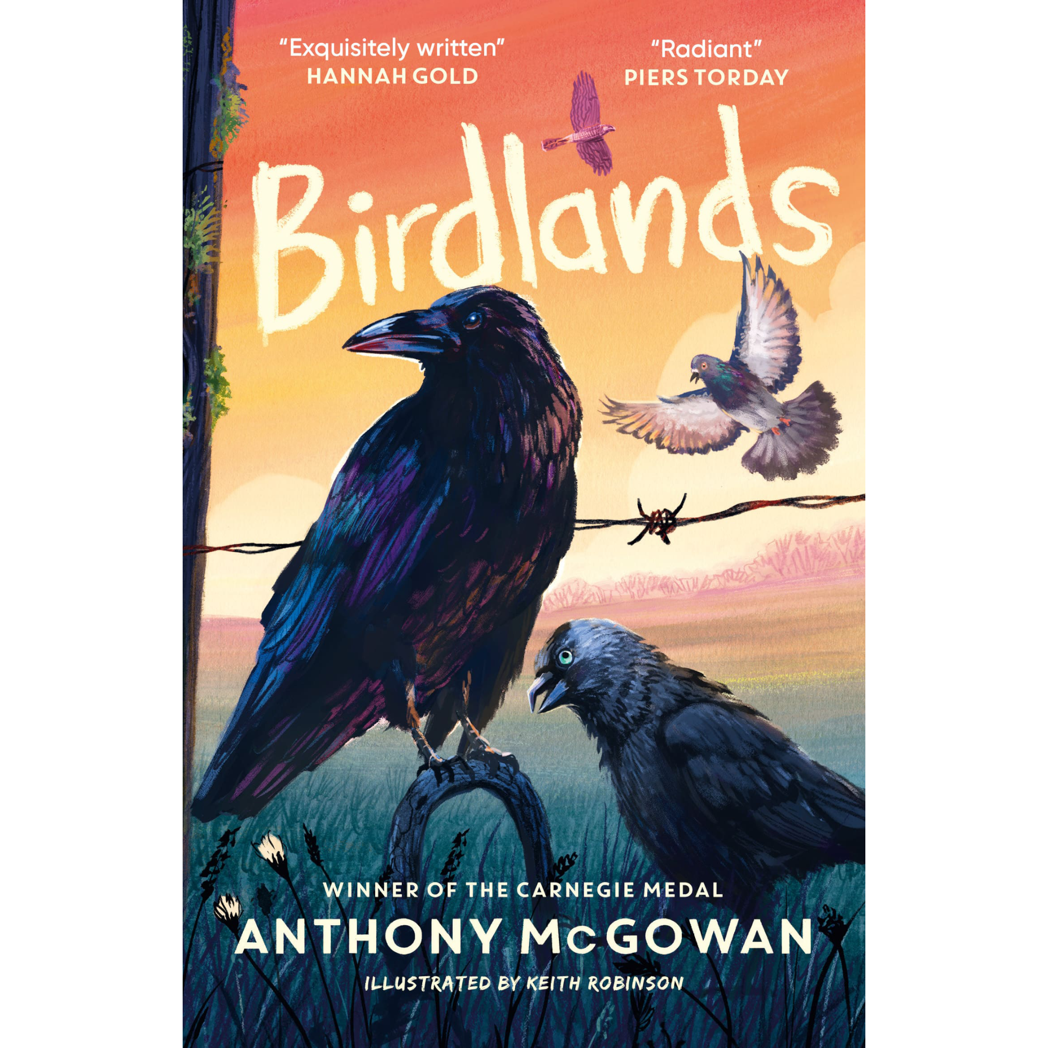 Birdlands.png