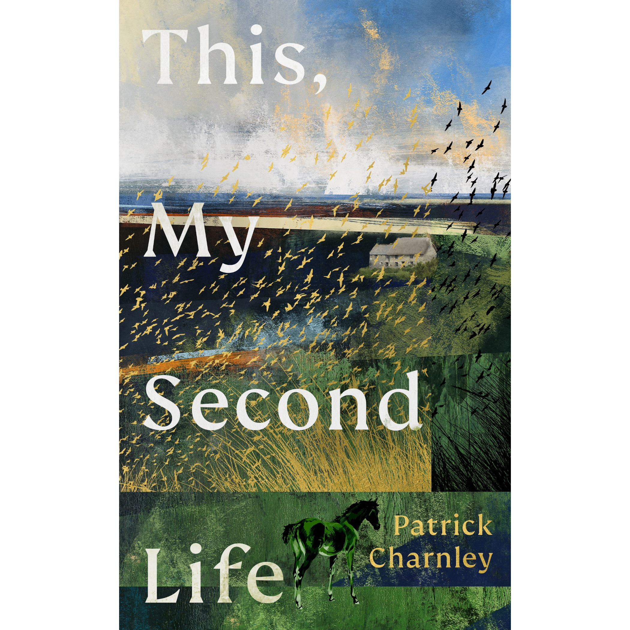 This, My Second Life PRE-ORDER SIGNED