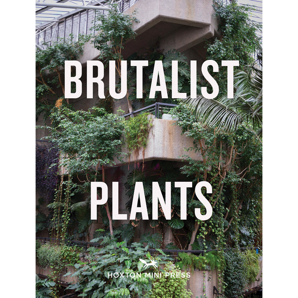 Brutalist Plants  The Margate Bookshop