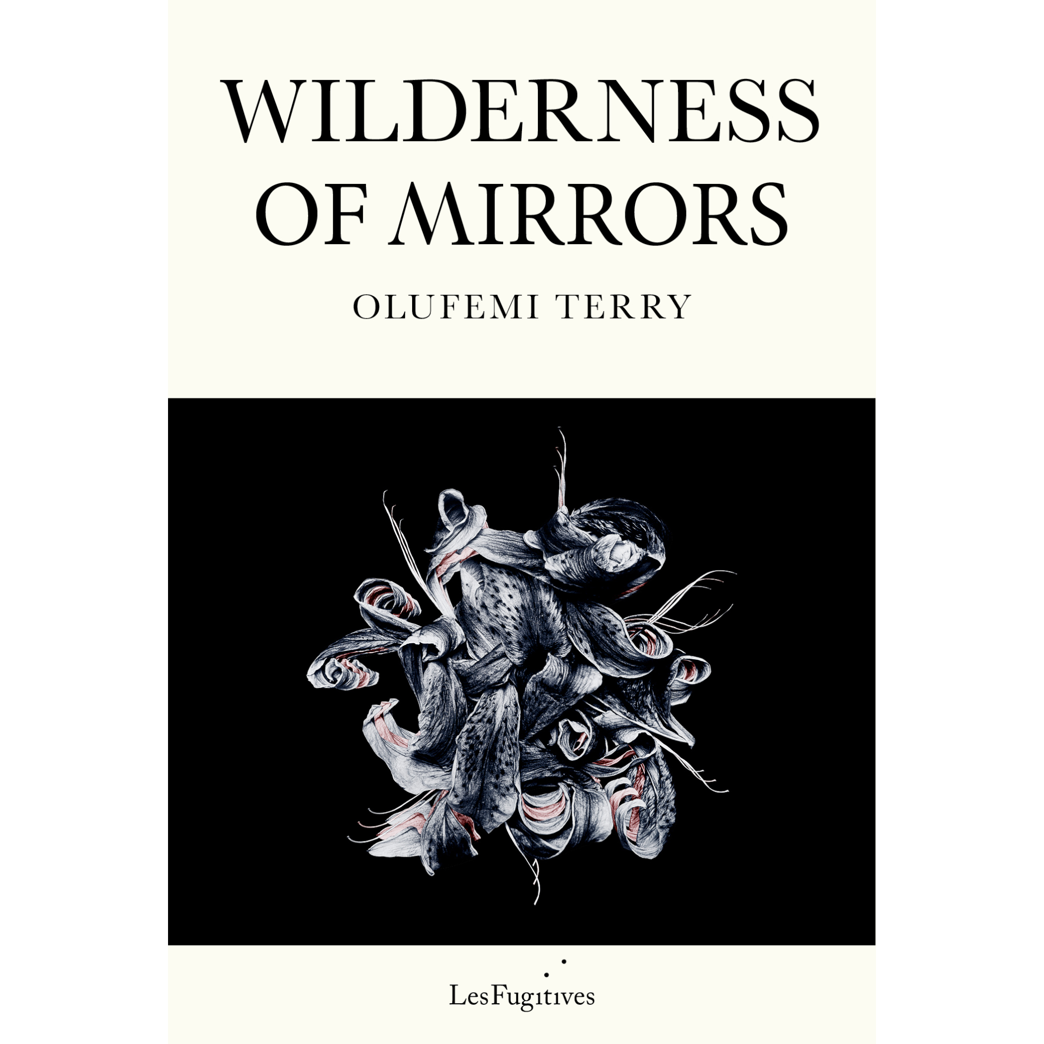 Wilderness of Mirrors.png