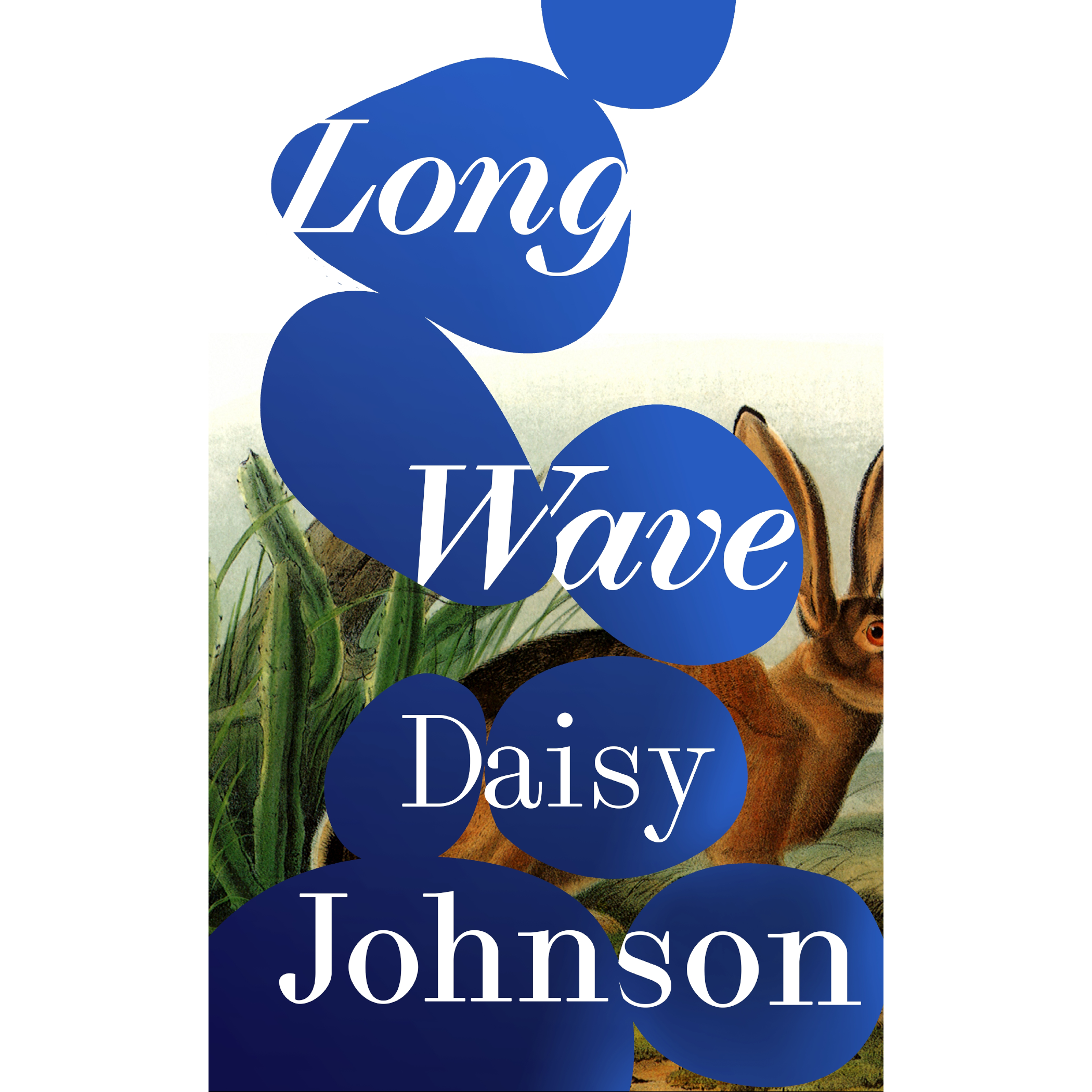 Long Wave.png