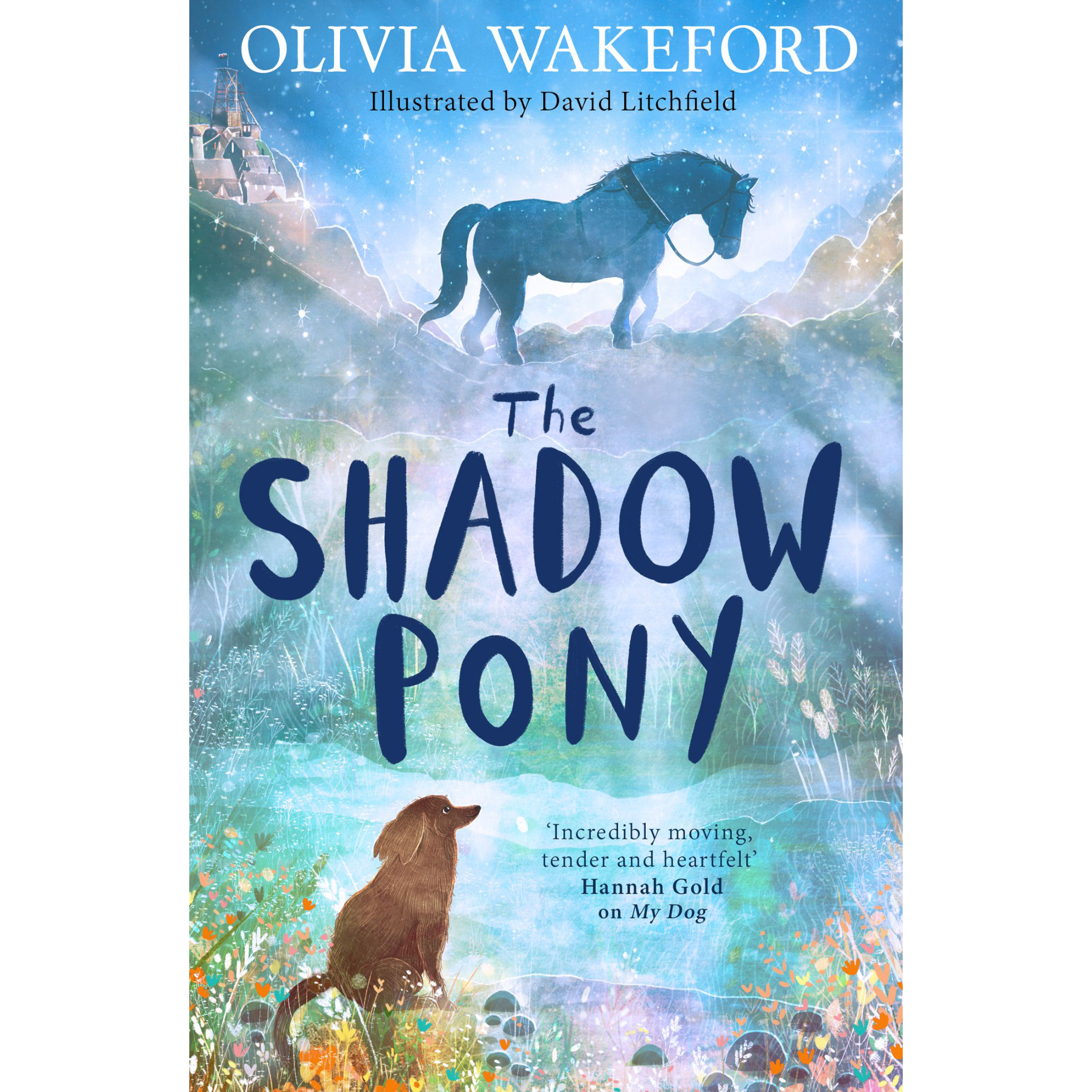 The Shadow Pony