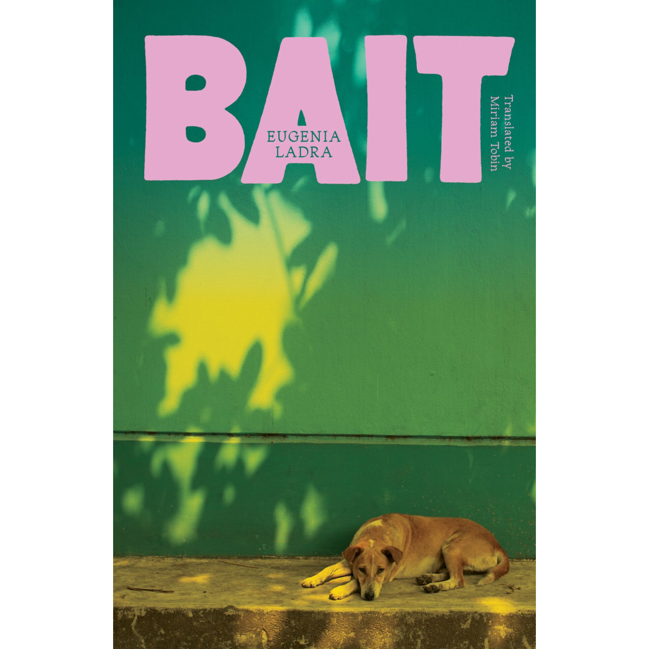Bait