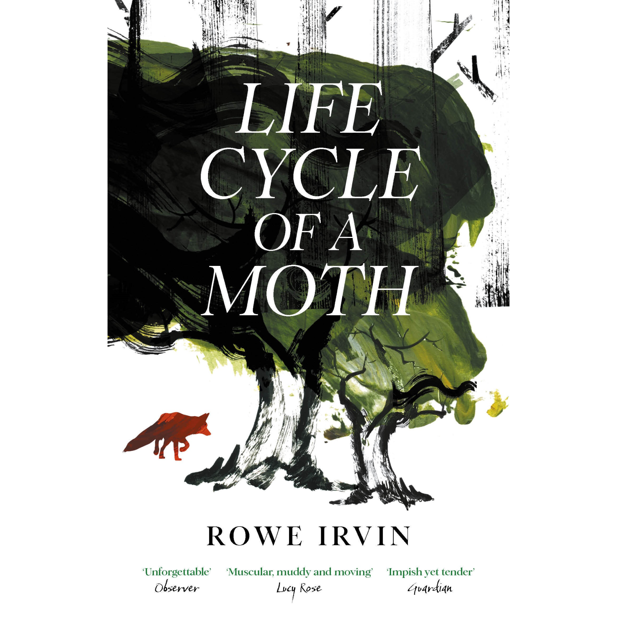 Life Cycle of a Moth