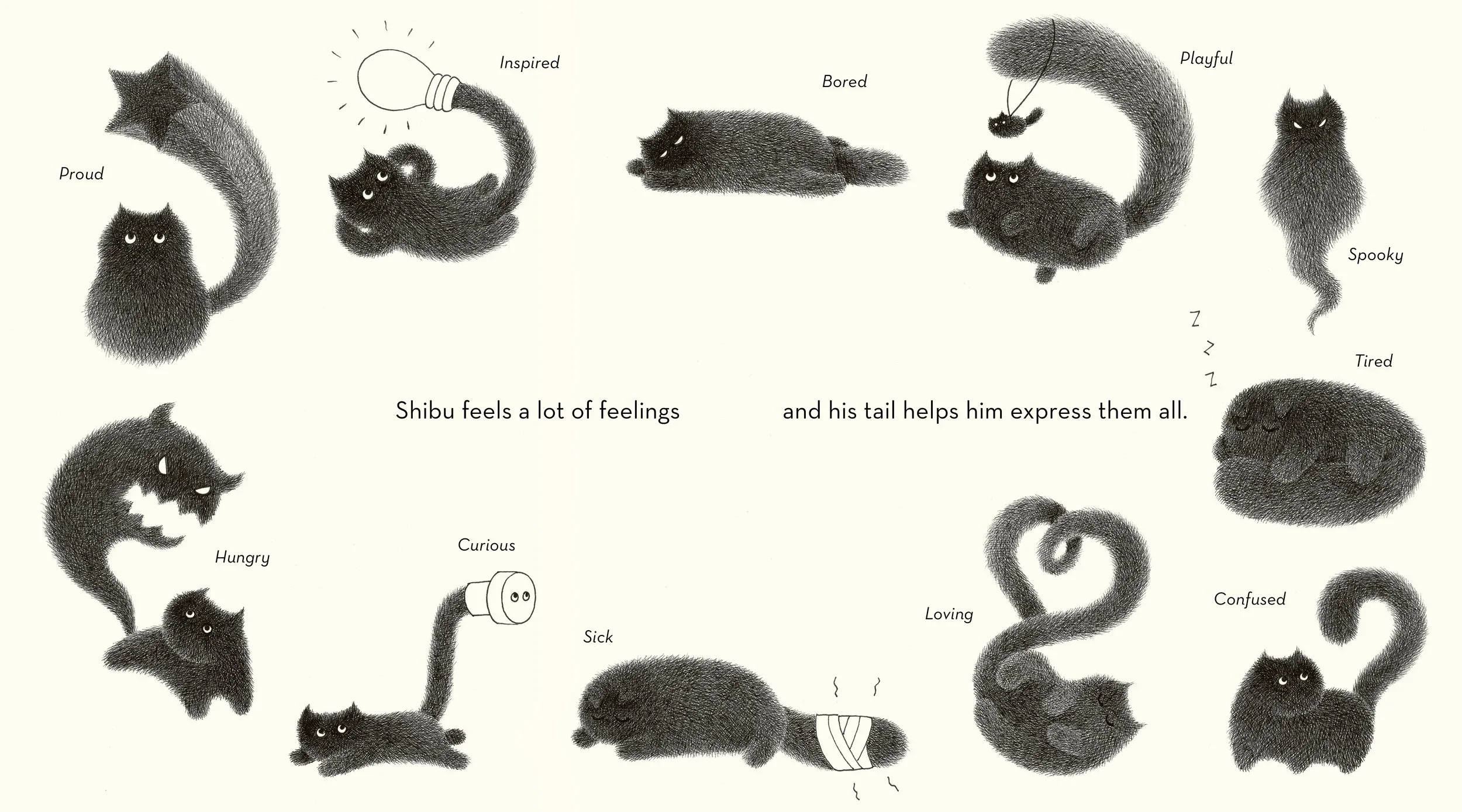 Shibu's Tail 2.jpg