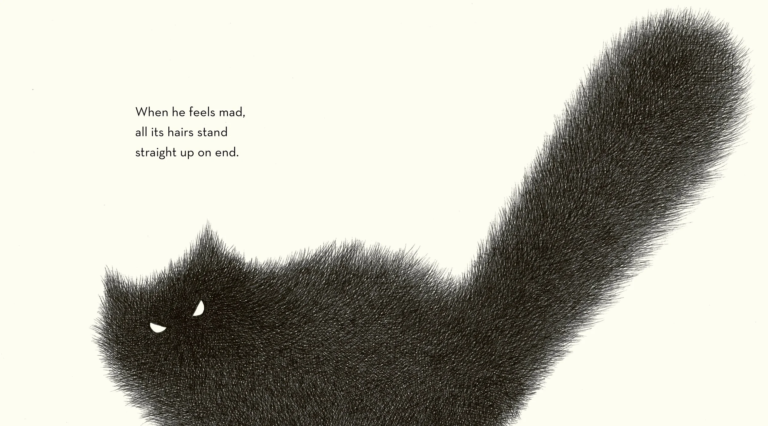Shibu's Tail 3.jpg
