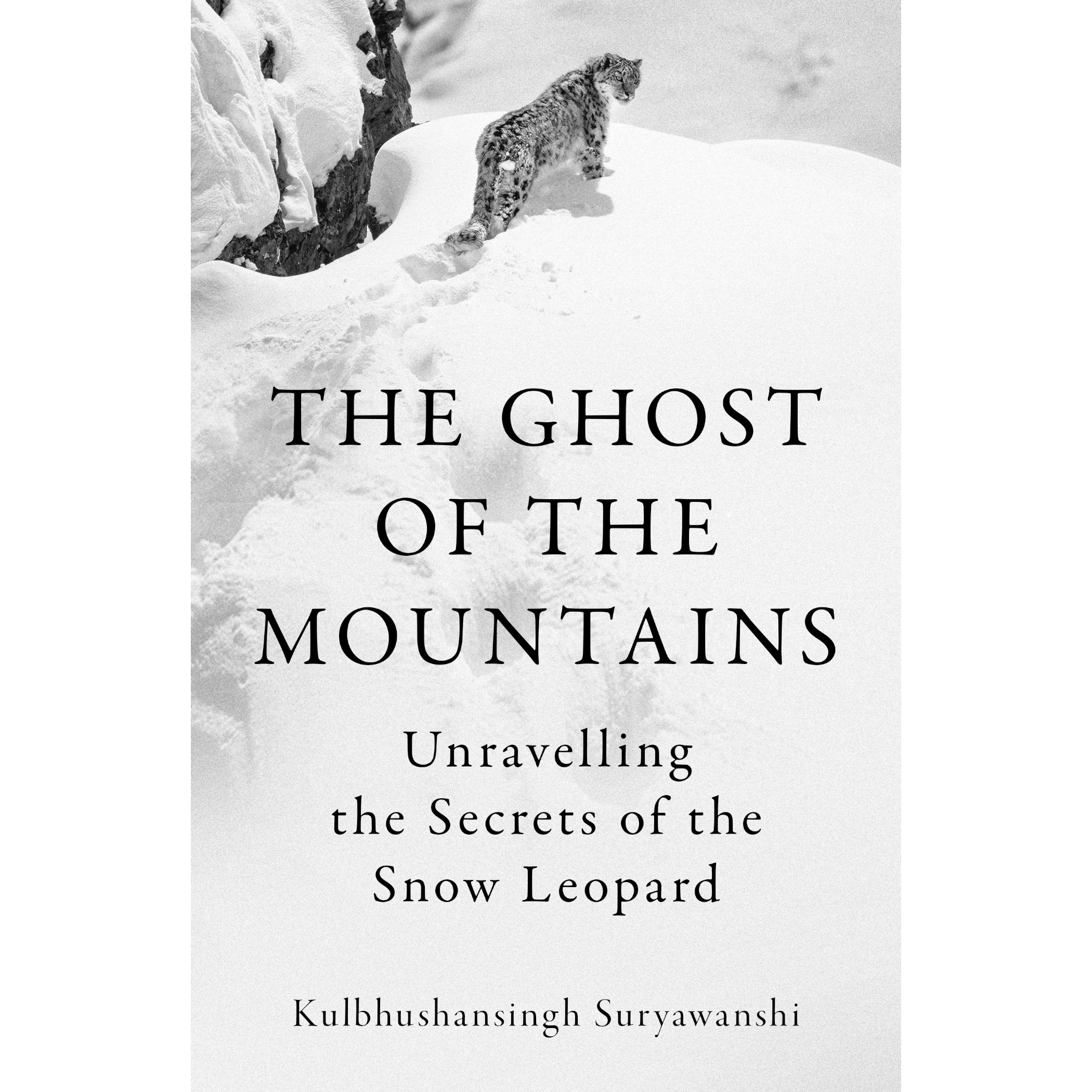 The Ghost of the Mountains.png