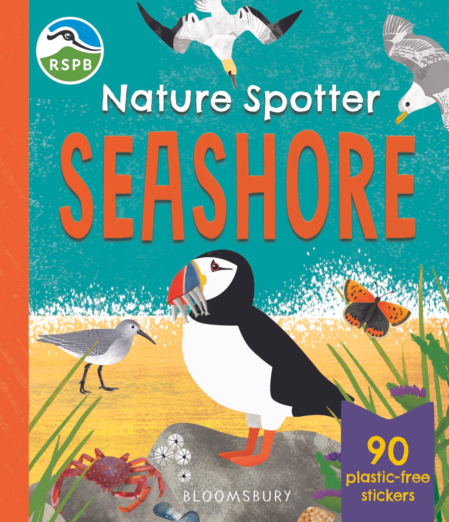 Nature Spotter Seashore.jpg