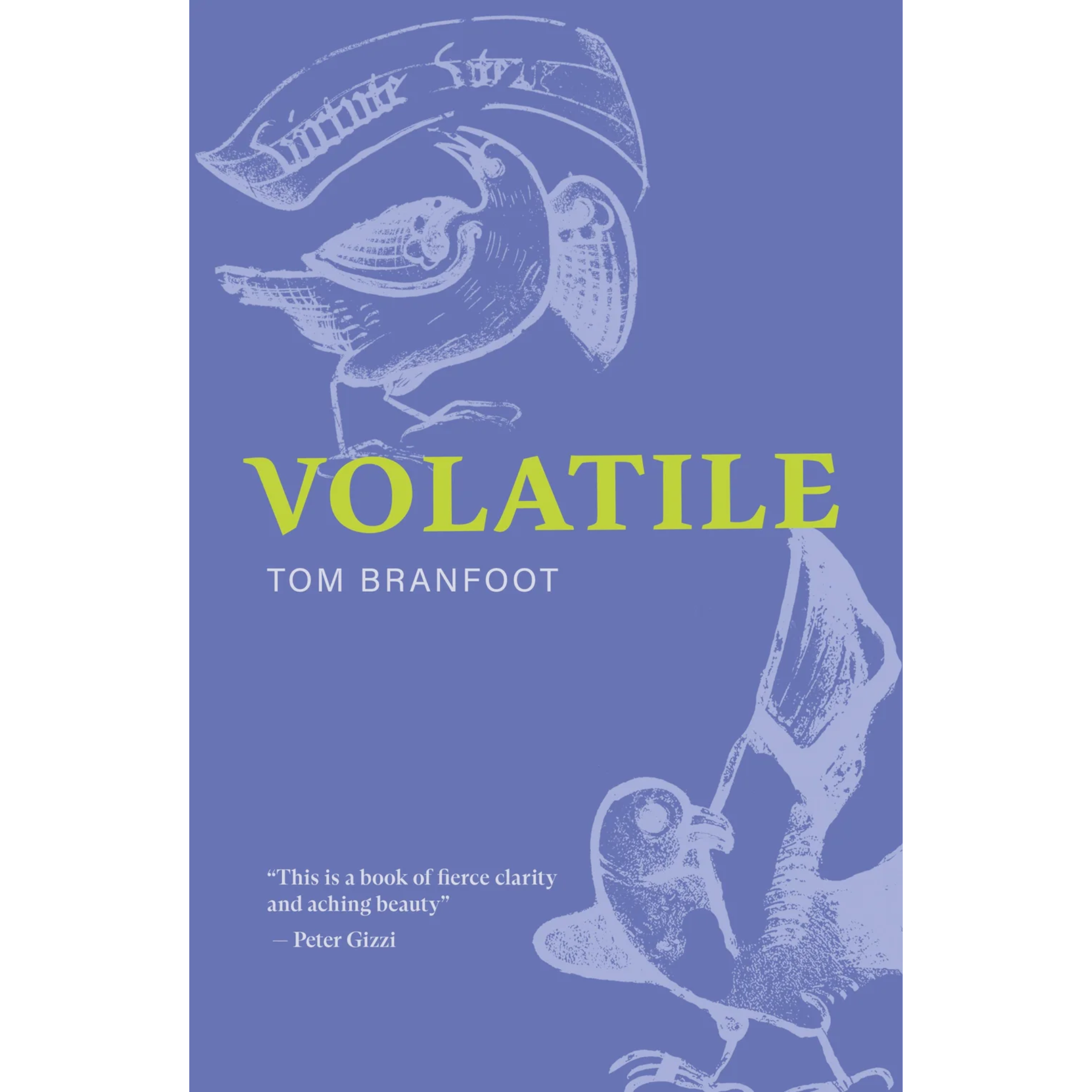 Volatile.png