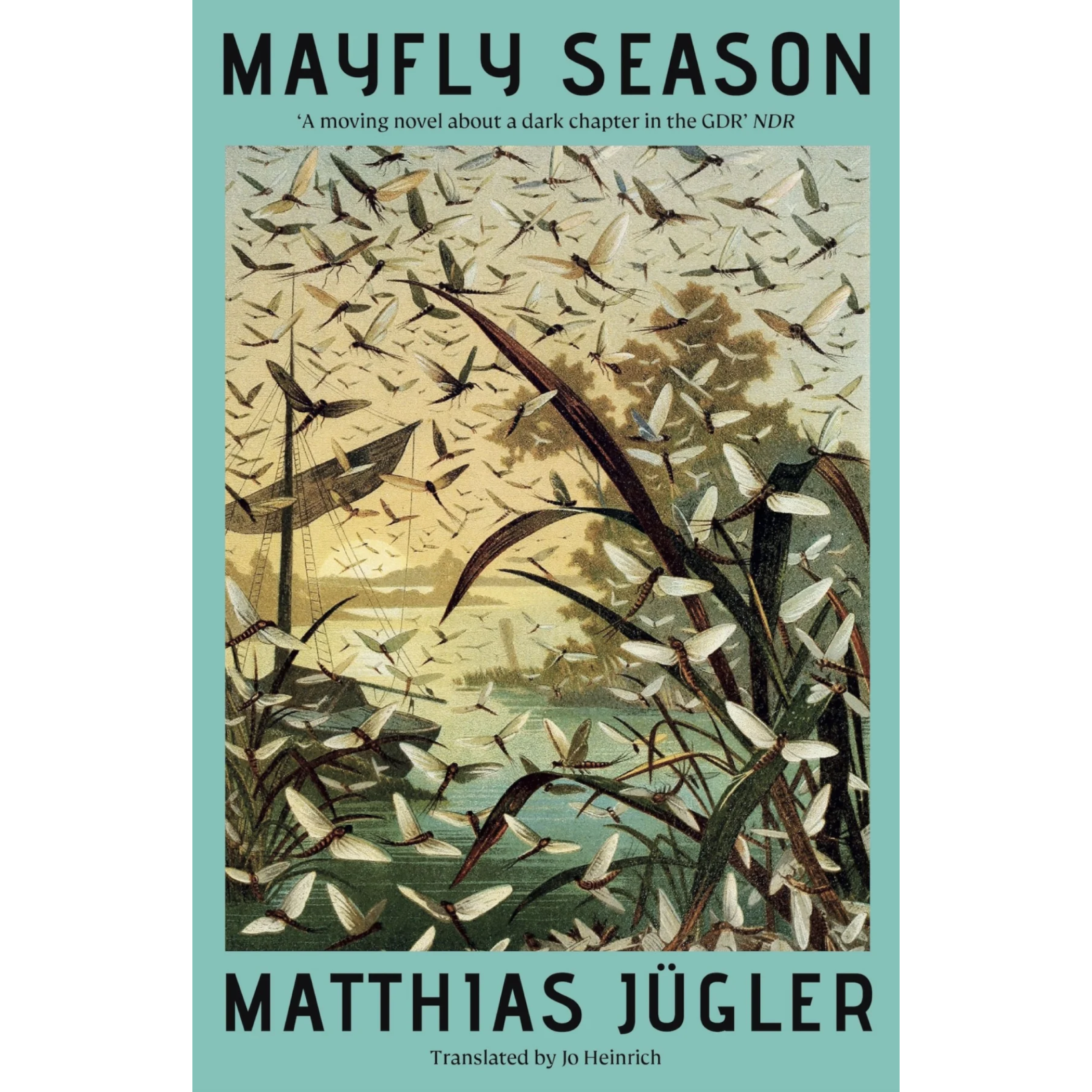 Mayfly Season.png