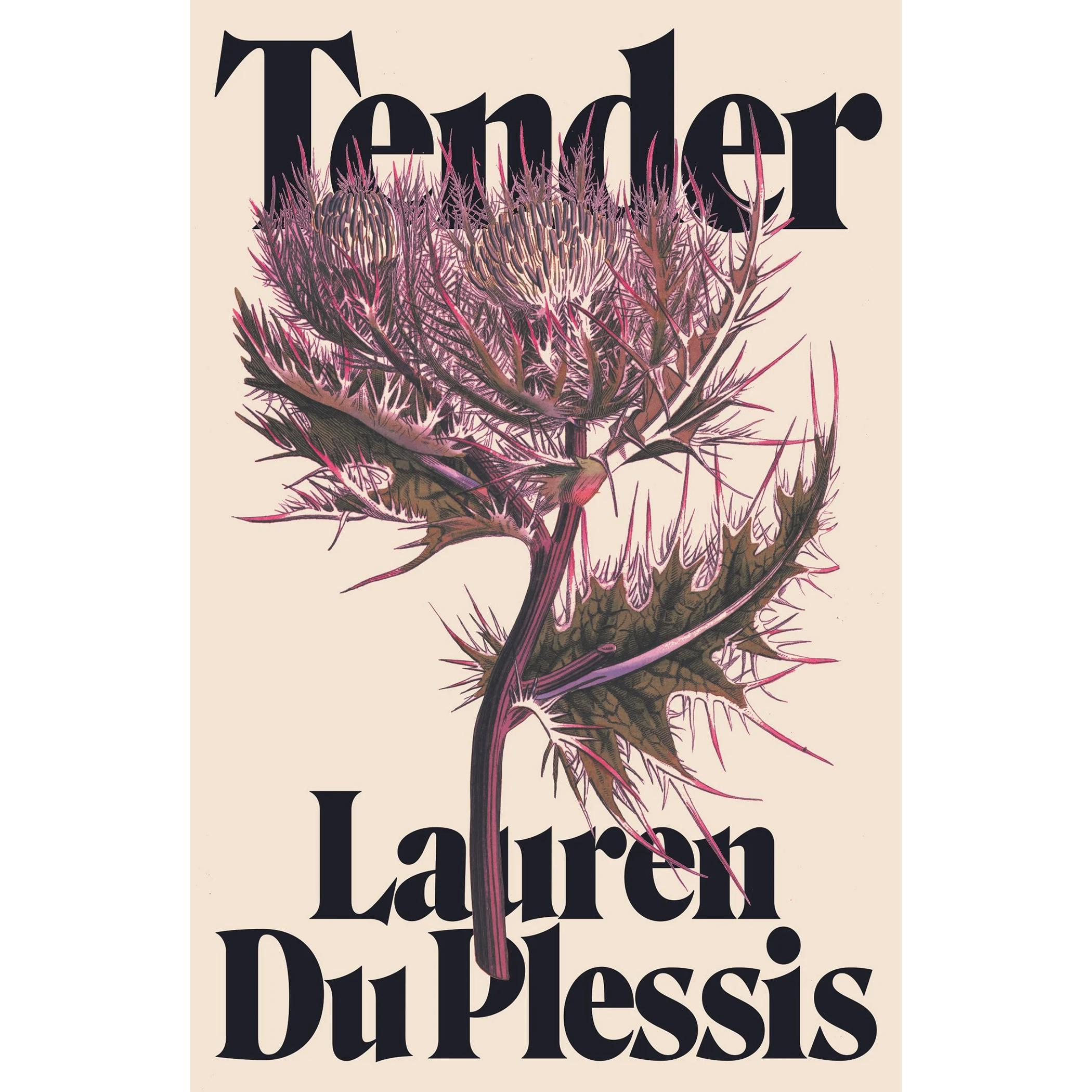 Tender.png