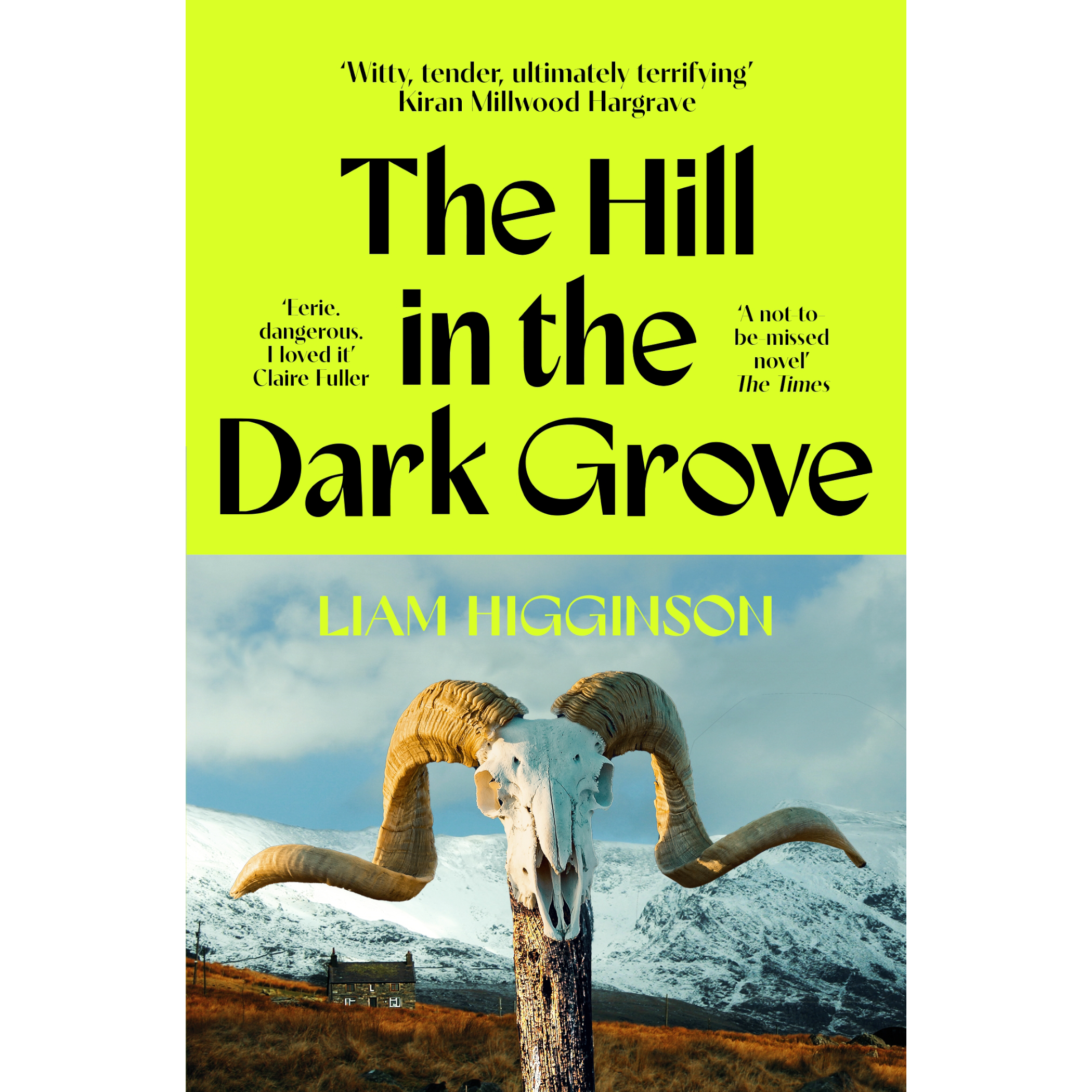 The Hill in the Dark Grove