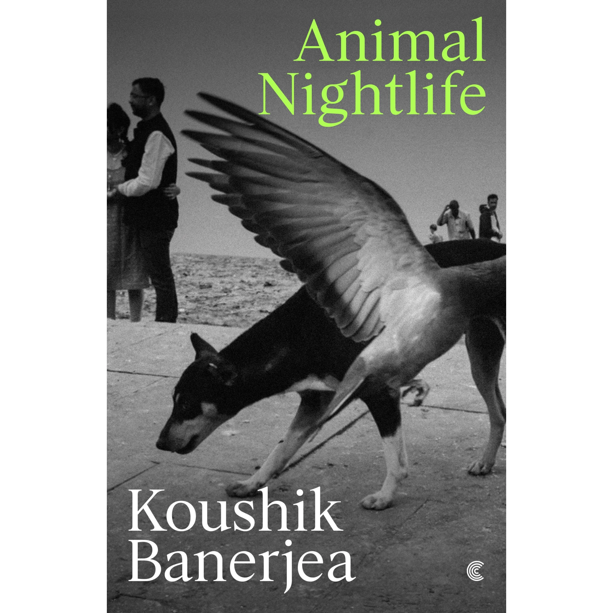 Animal Nightlife.png