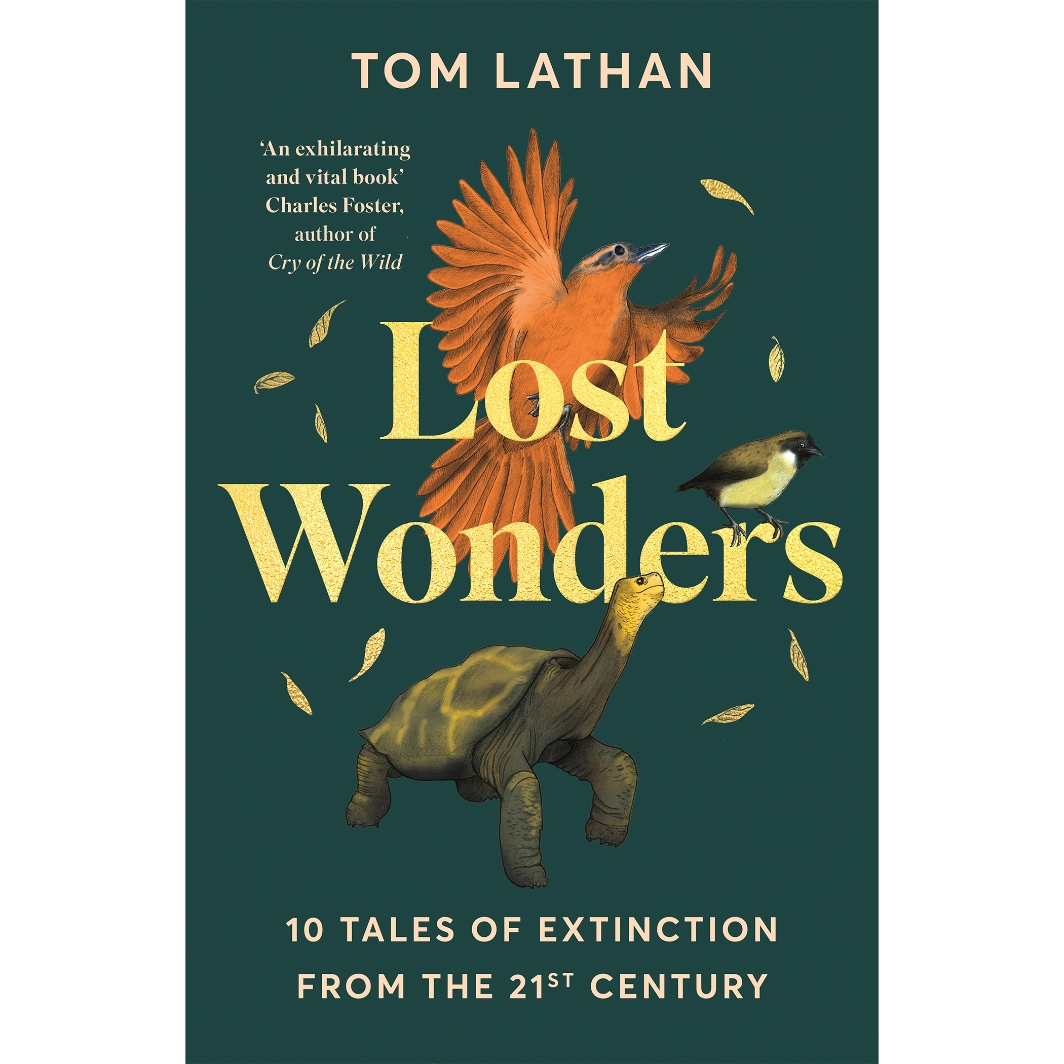 Lost Wonders.png
