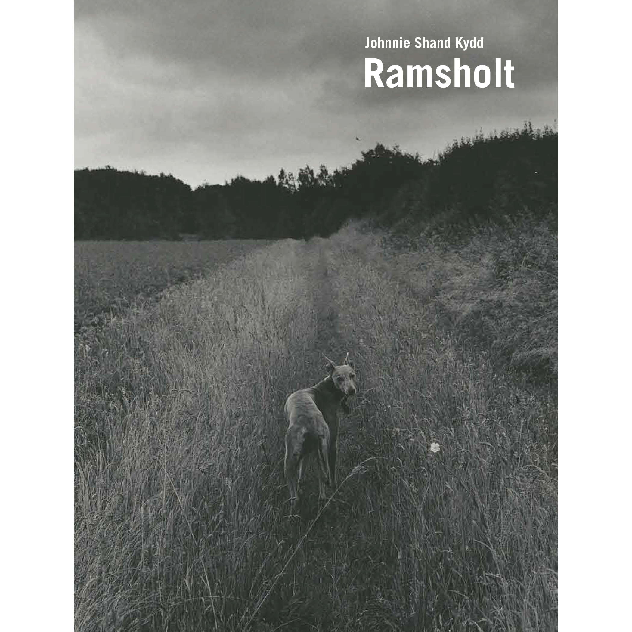 Ramsholt