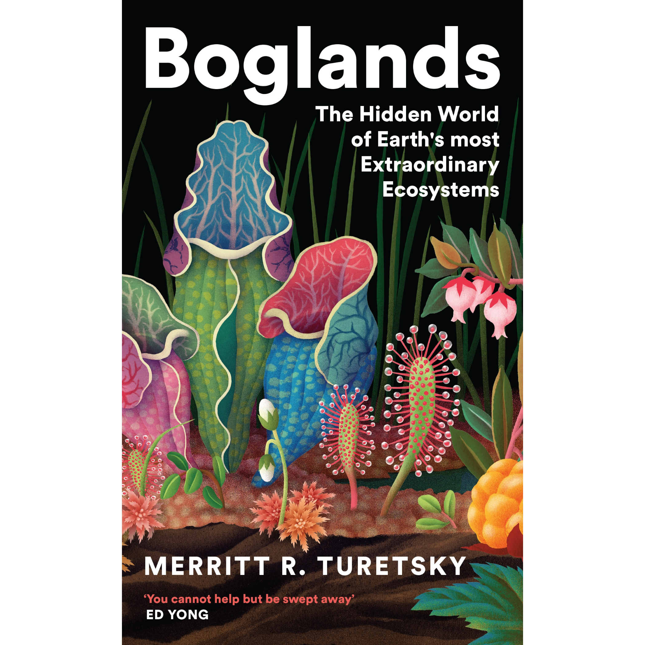 Boglands.png