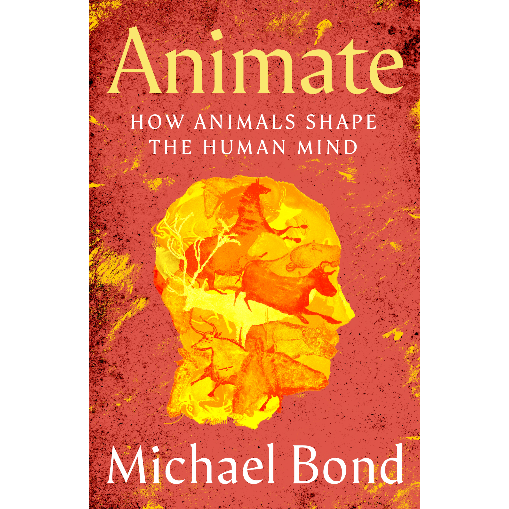 Animate.png