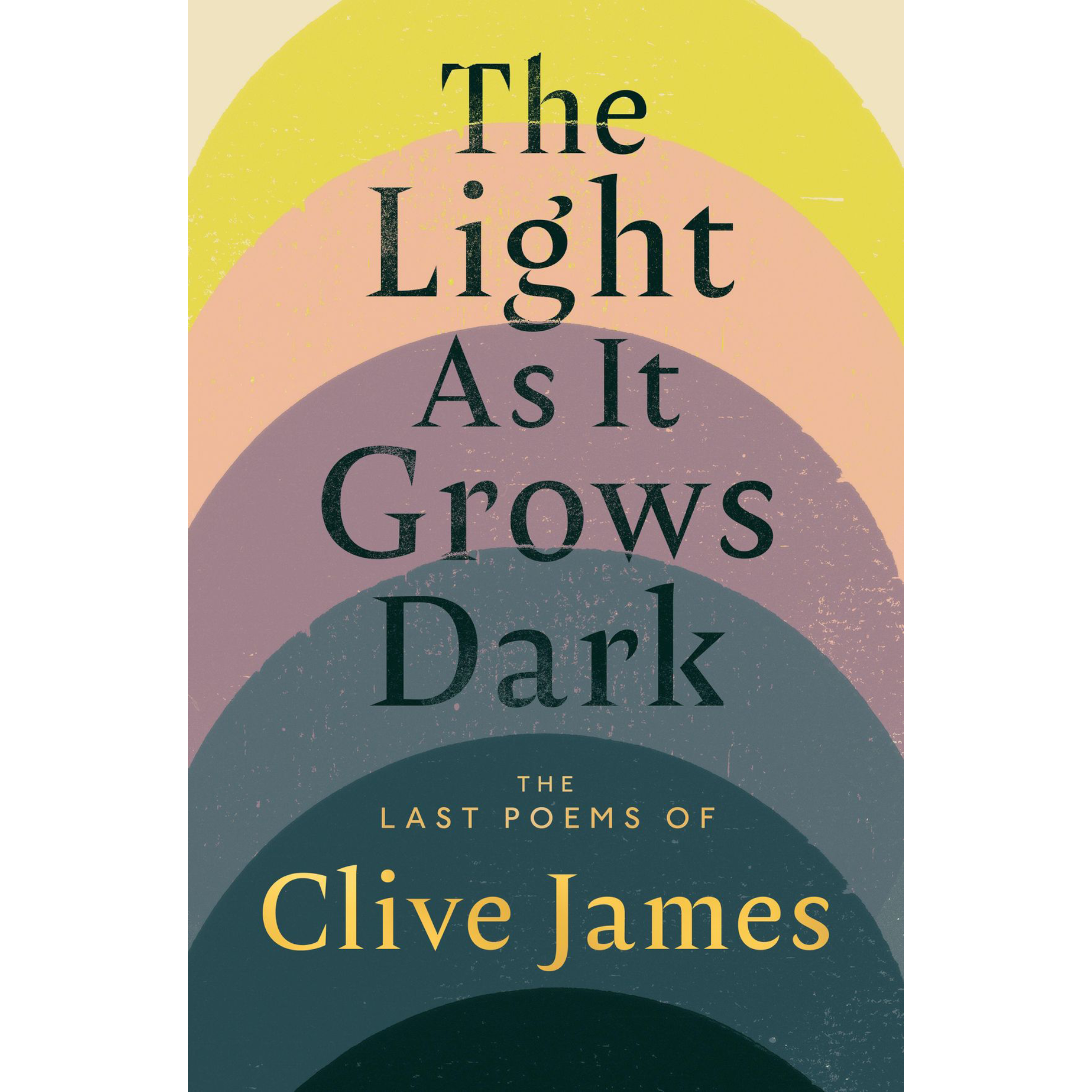 The Light as It Grows Dark.png