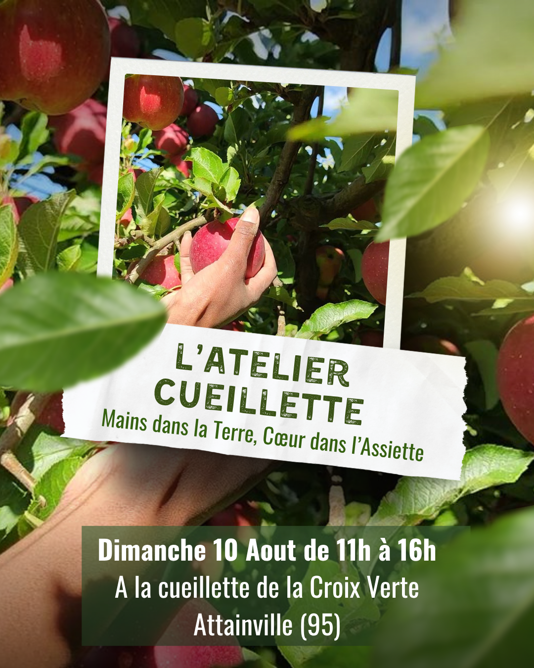 Atelier de la Cueillette à l'assiette