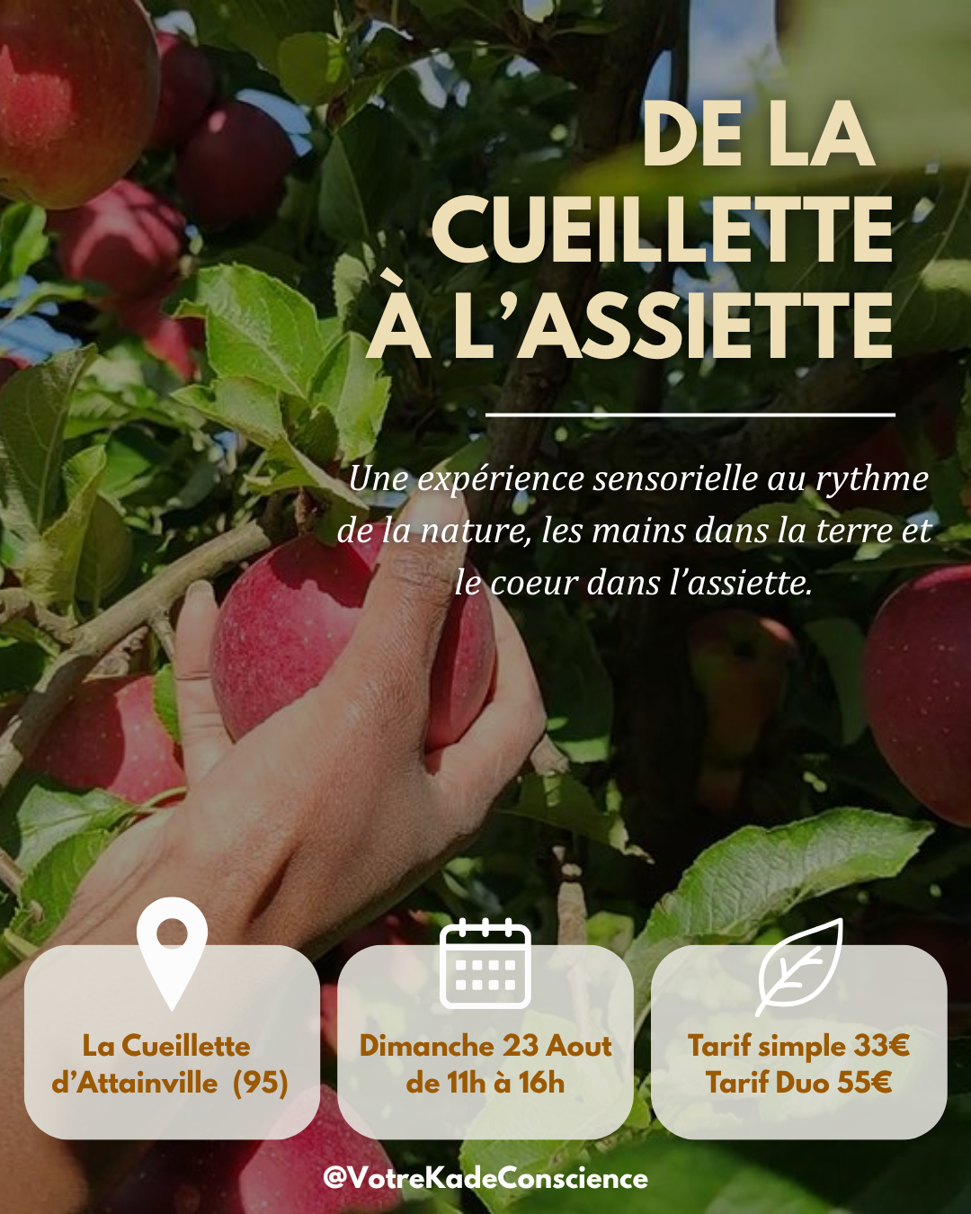 Atelier de la Cueillette à l'assiette